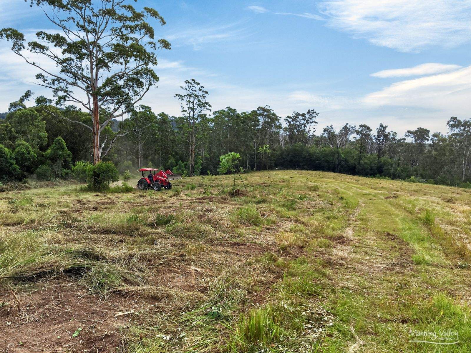 Lot 62 Baxters Ridge Road, Gloucester For Sale by Farmbuy.com - image 3