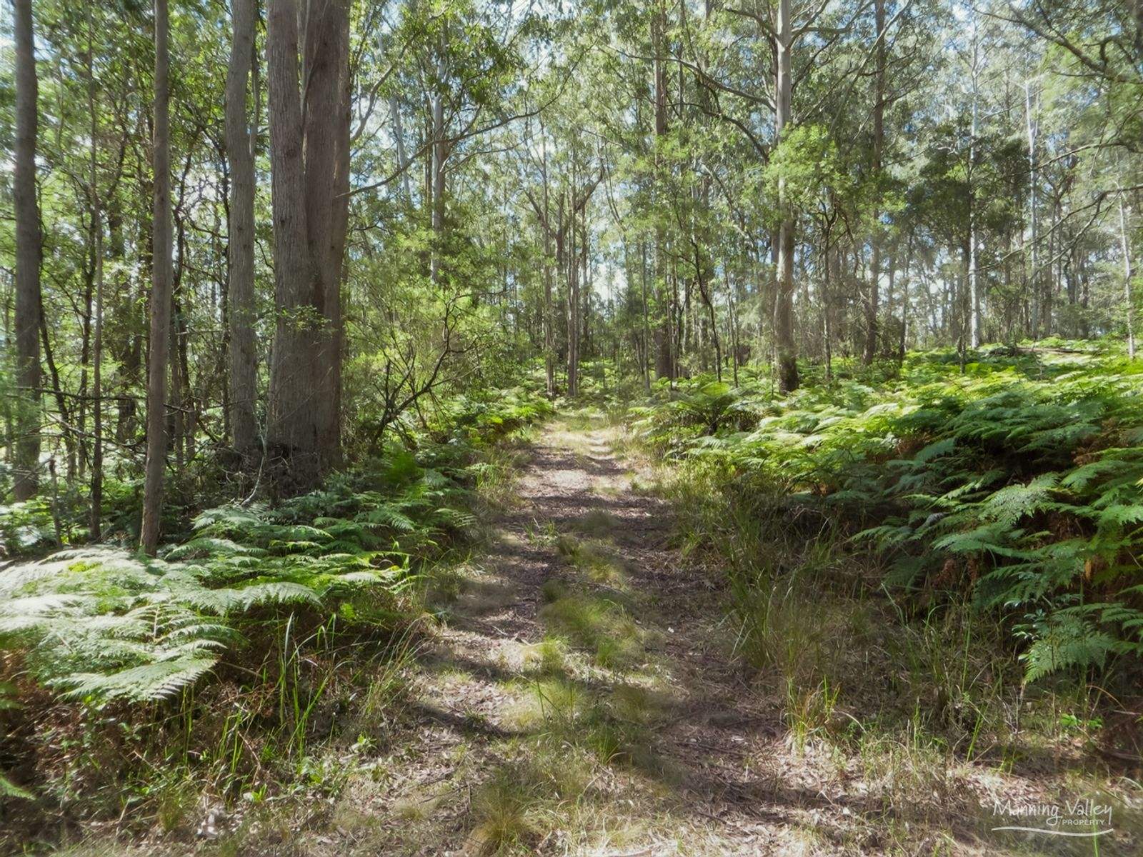 Lot 62 Baxters Ridge Road, Gloucester For Sale by Farmbuy.com - image 5