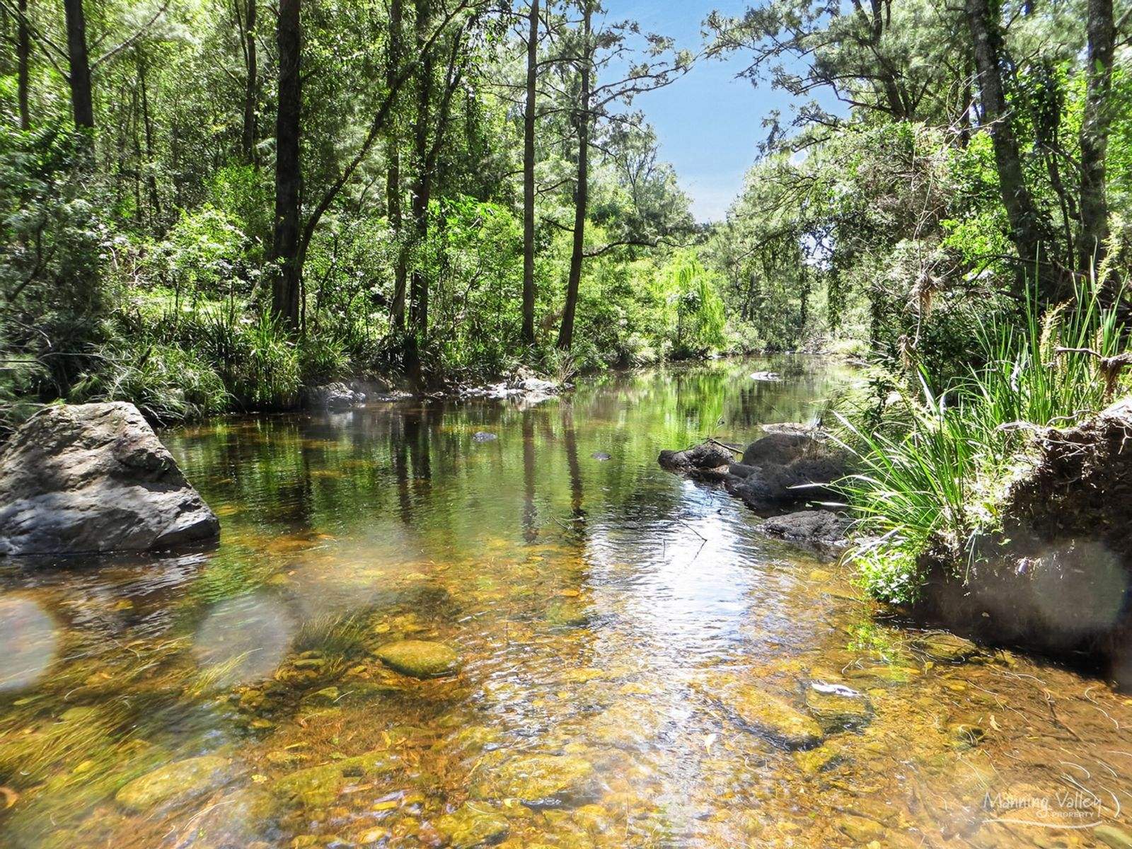 Lot 62 Baxters Ridge Road, Gloucester For Sale by Farmbuy.com - image 2