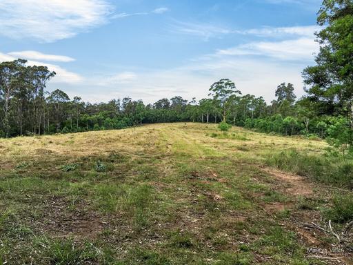 Farm For Sale - NSW - Gloucester - 2422 - Your Private Wilderness Escape - 356Ha (Approx. 881 Acres) 