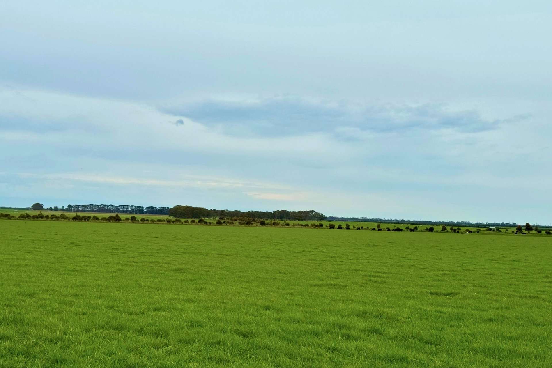 4006 Hopkins Highway, Mortlake For Sale by Farmbuy.com - image 6