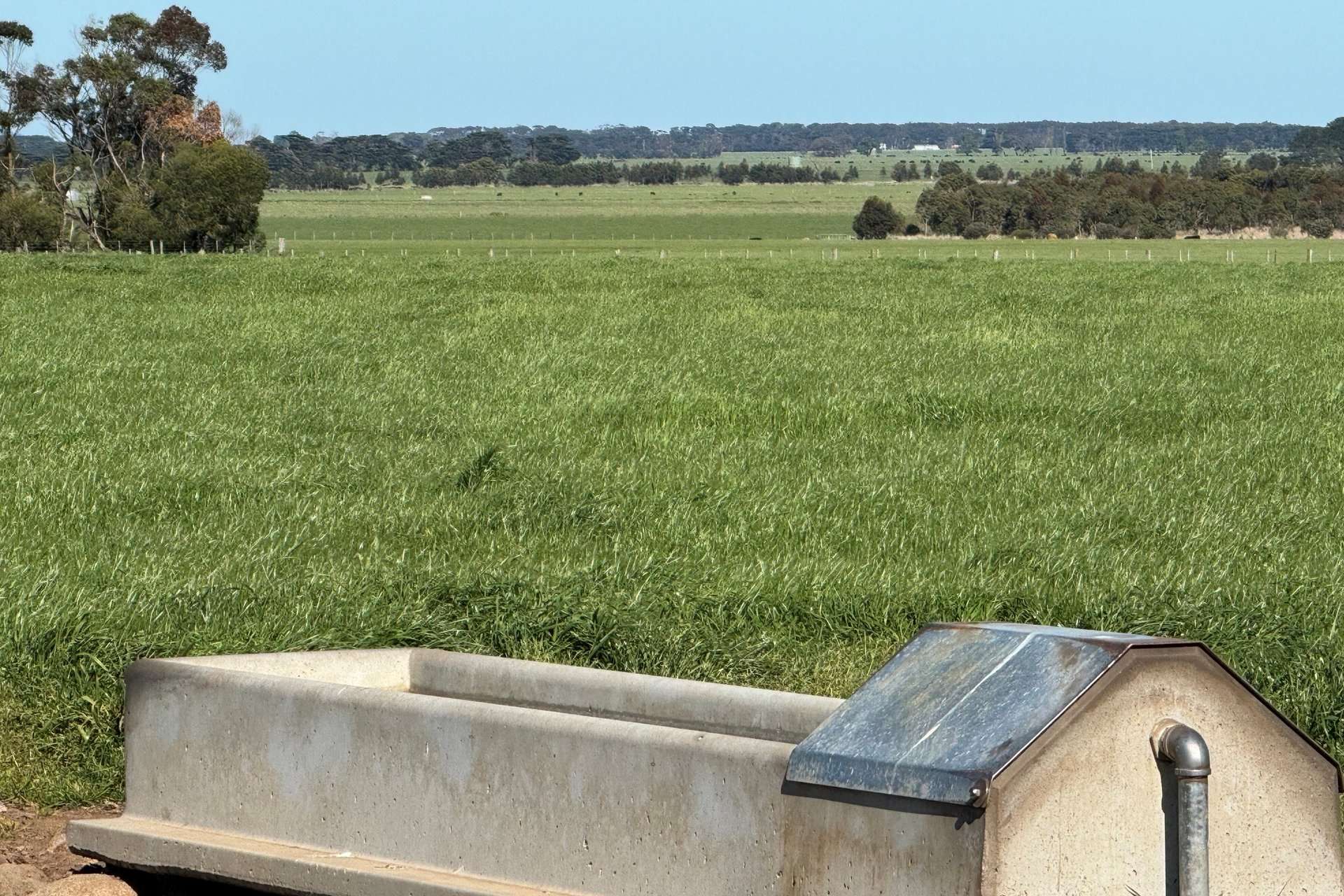 4006 Hopkins Highway, Mortlake For Sale by Farmbuy.com - image 29