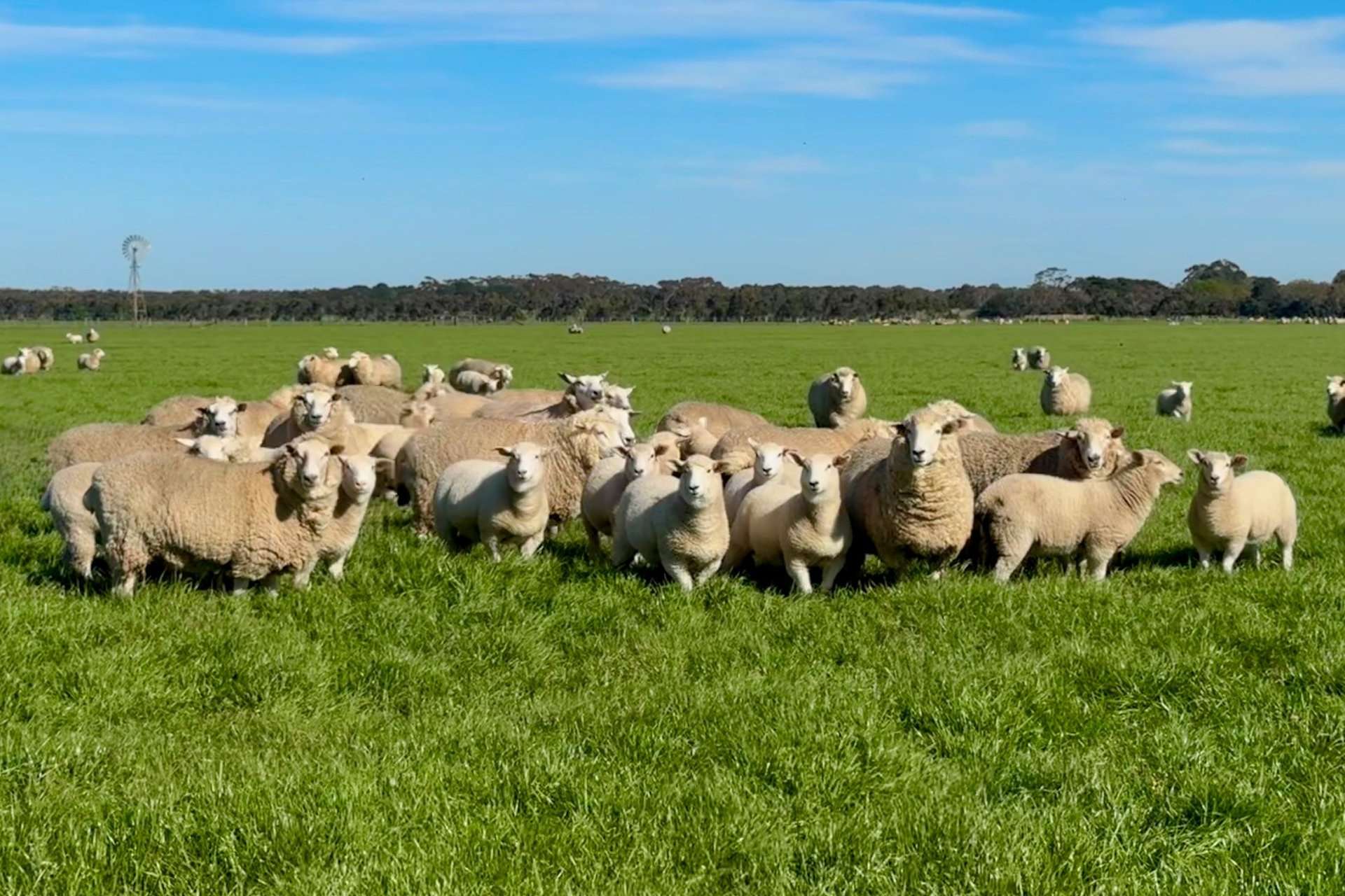 4006 Hopkins Highway, Mortlake For Sale by Farmbuy.com - image 4