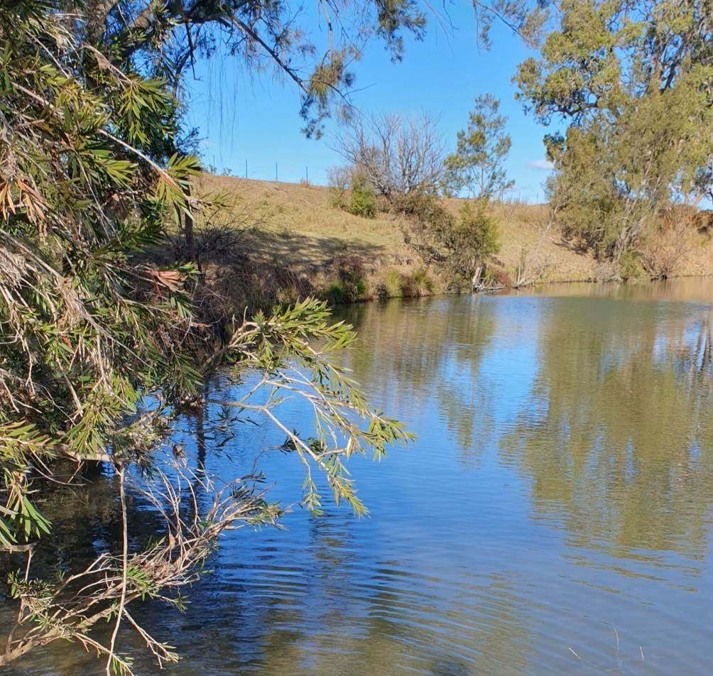 1741 Bukkulla Road, Ashford For Sale by Farmbuy.com - image 21