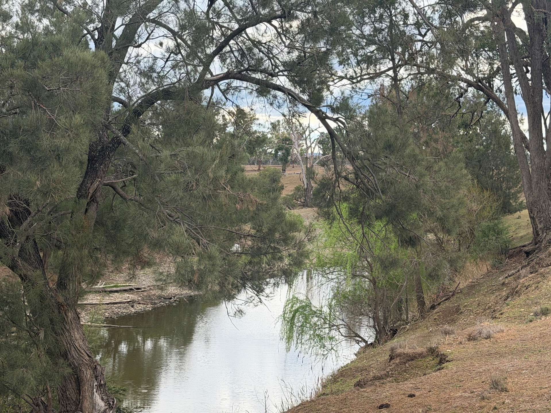 1741 Bukkulla Road, Ashford For Sale by Farmbuy.com - image 2