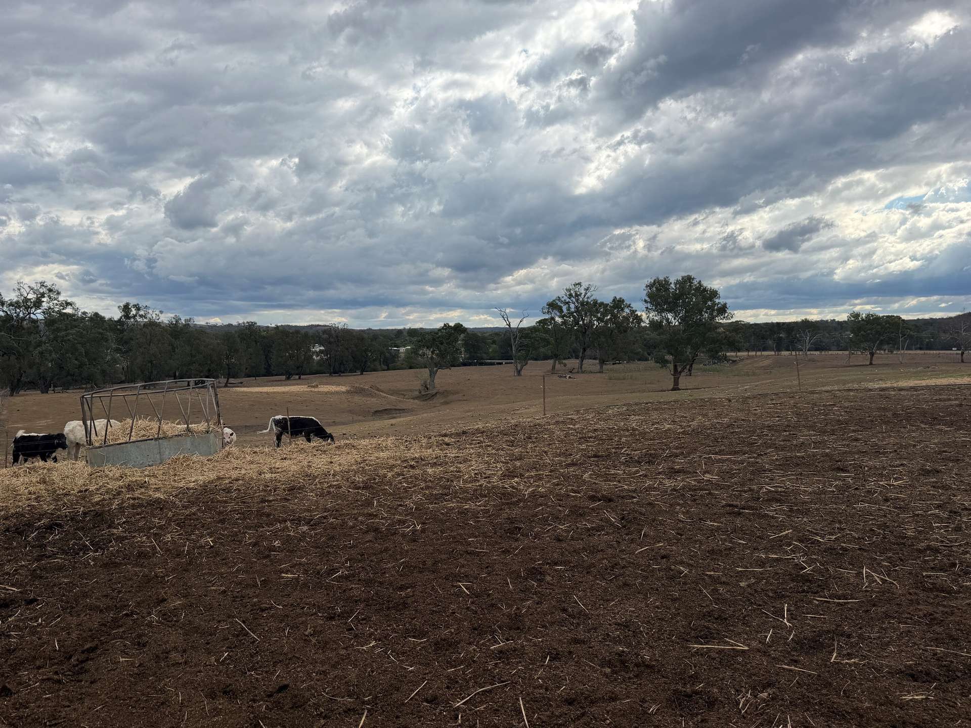 1741 Bukkulla Road, Ashford For Sale by Farmbuy.com - image 17