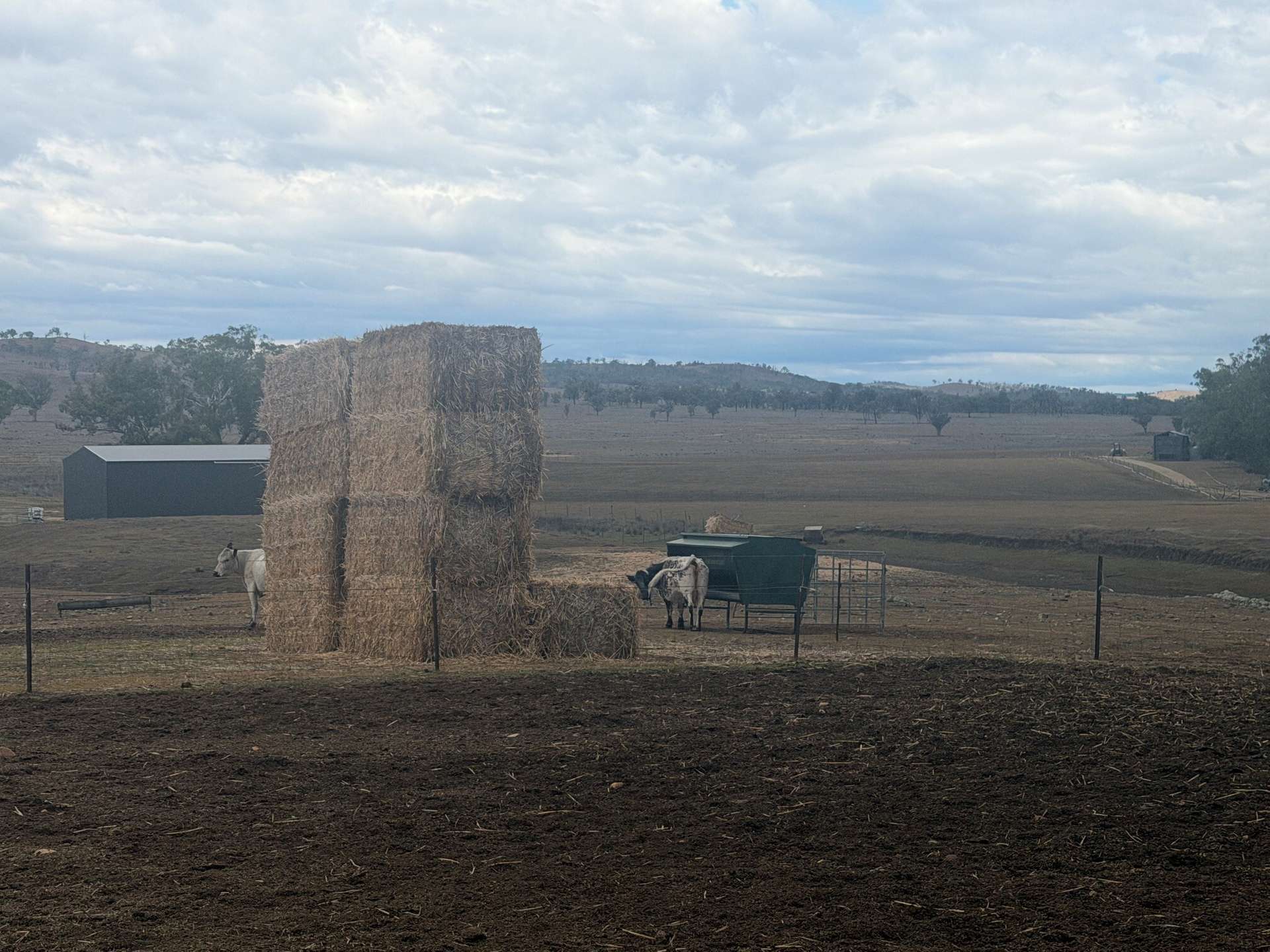 1741 Bukkulla Road, Ashford For Sale by Farmbuy.com - image 5
