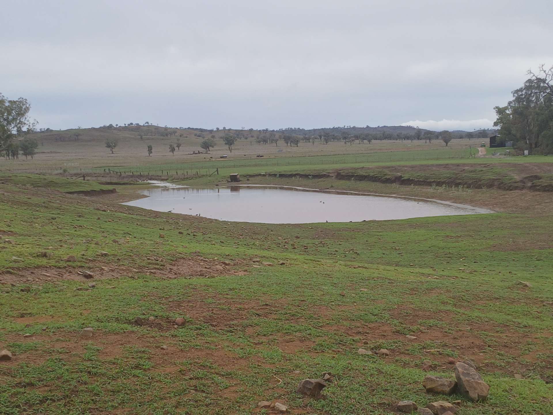 1741 Bukkulla Road, Ashford For Sale by Farmbuy.com - image 25