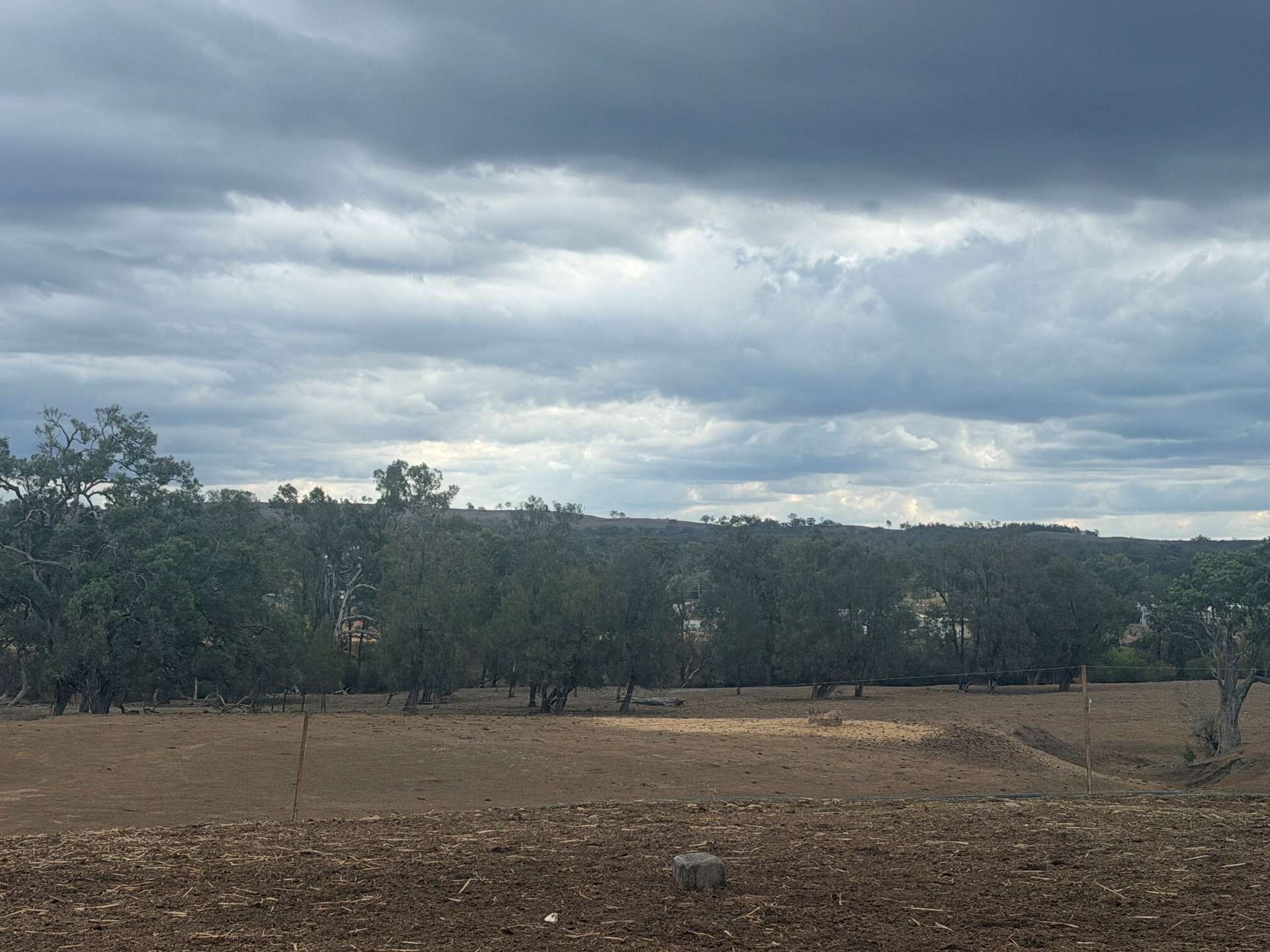 1741 Bukkulla Road, Ashford For Sale by Farmbuy.com - image 9