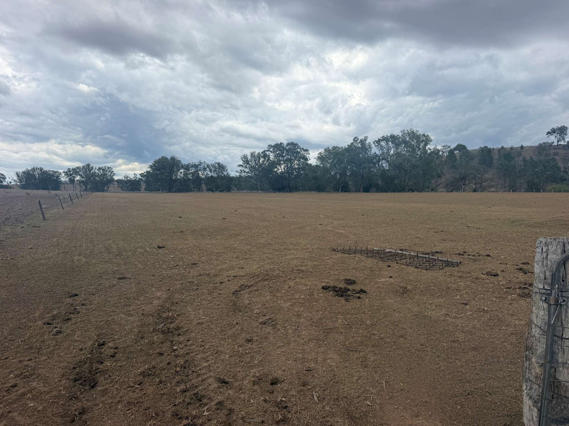 1741 Bukkulla Road, Ashford For Sale by Farmbuy.com - image 10
