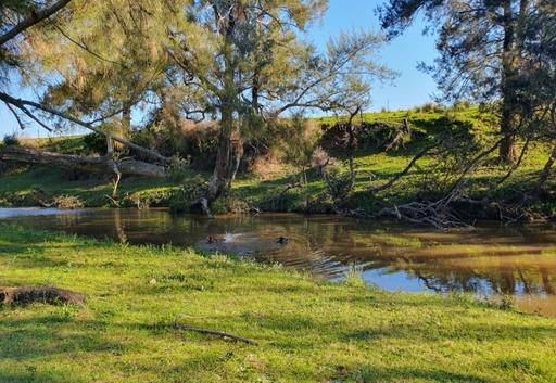 Farm For Sale - NSW - Ashford - 2361 - Lifestyle and Rural Living By the Severn River 