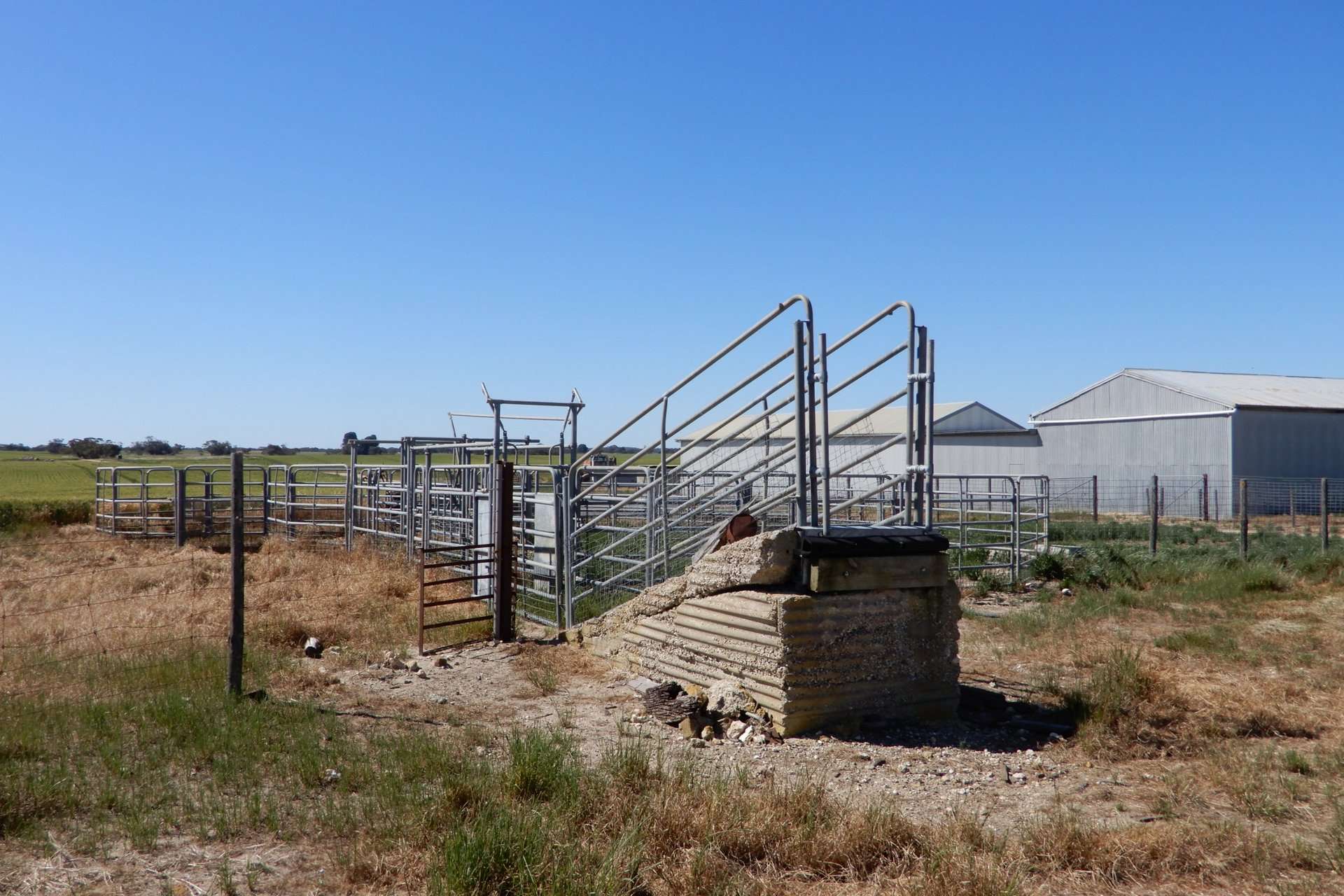 545 Railz Road, Coonalpyn For Sale by Farmbuy.com - image 10
