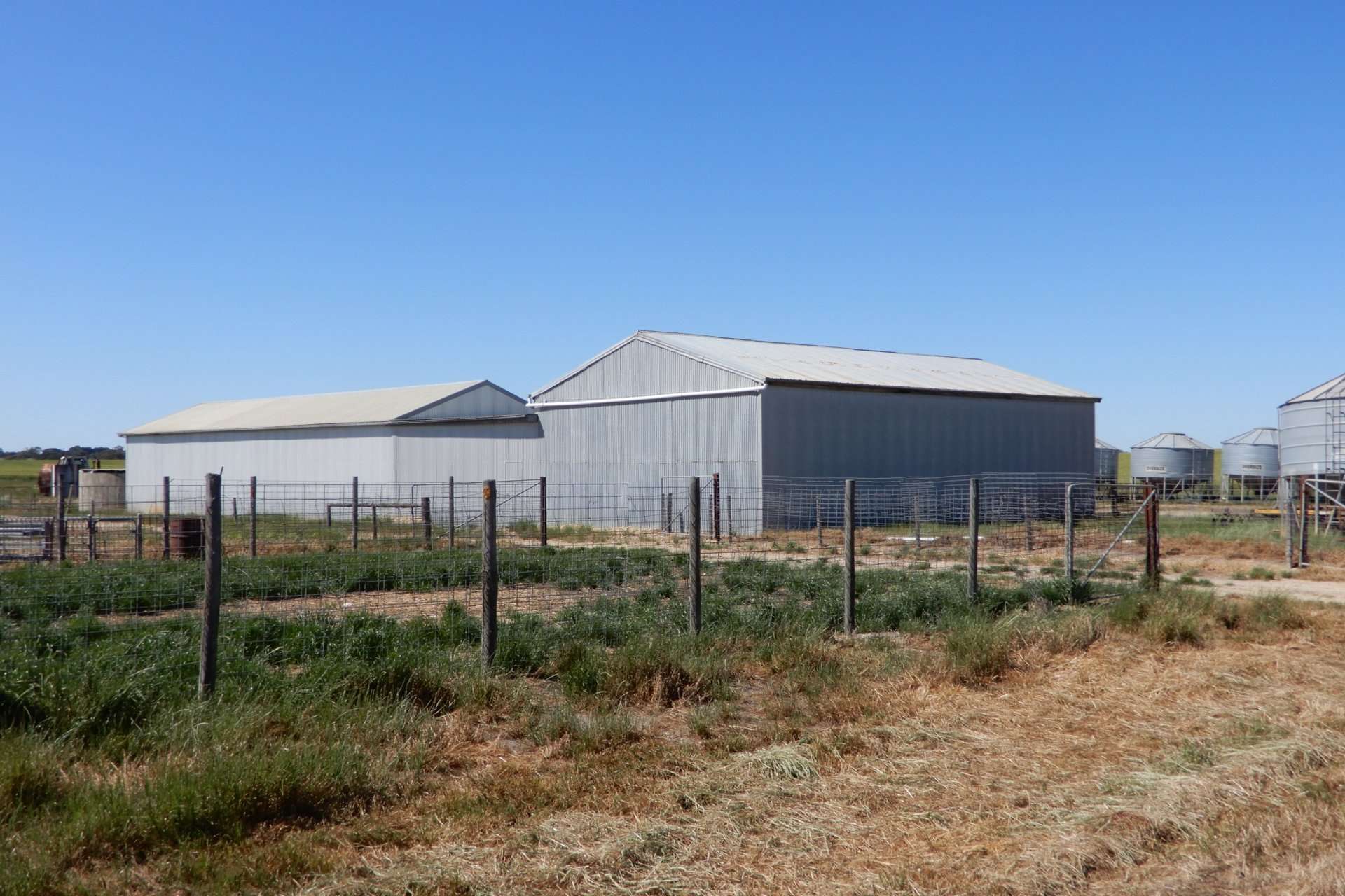 545 Railz Road, Coonalpyn For Sale by Farmbuy.com - image 11