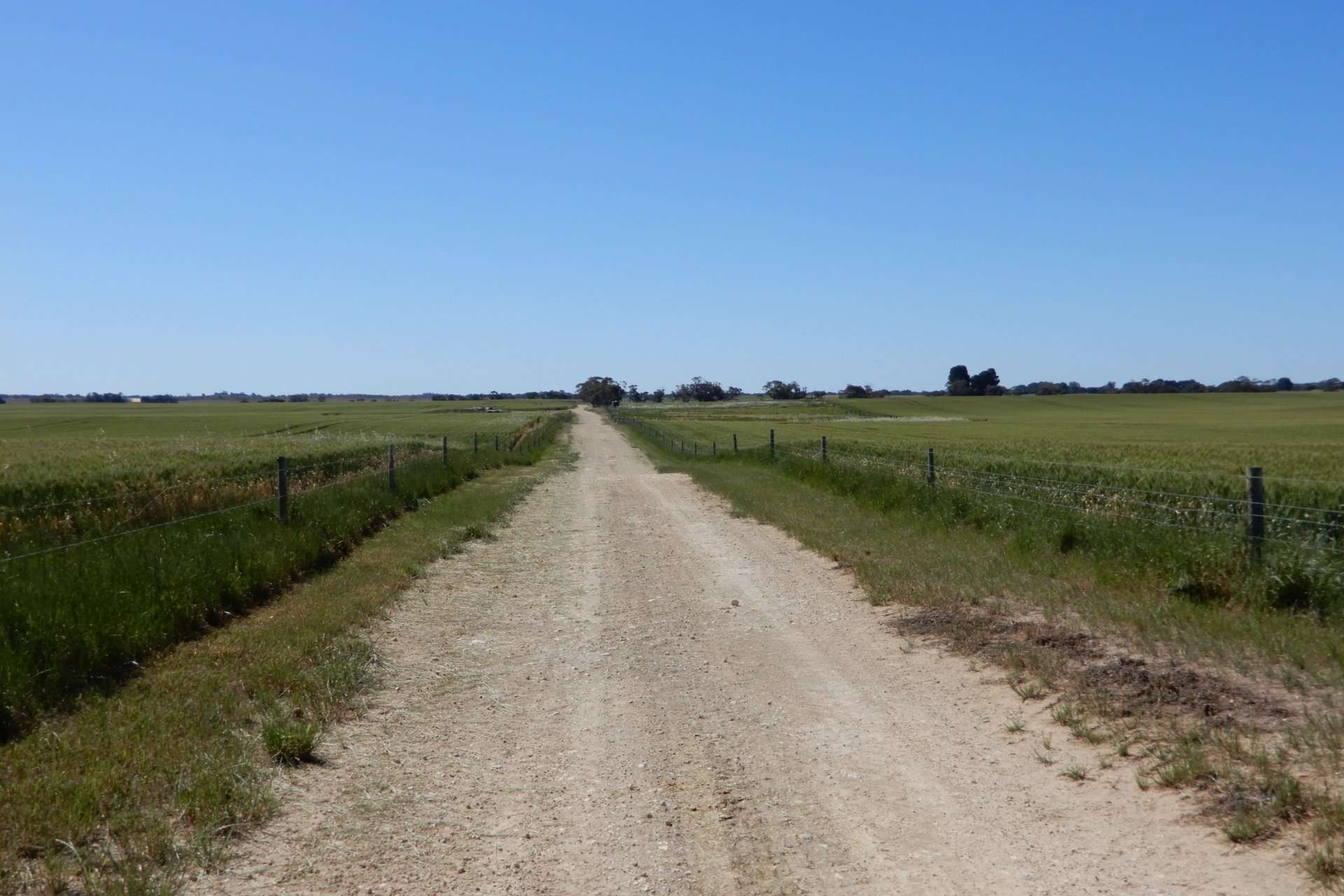 545 Railz Road, Coonalpyn For Sale by Farmbuy.com - image 6