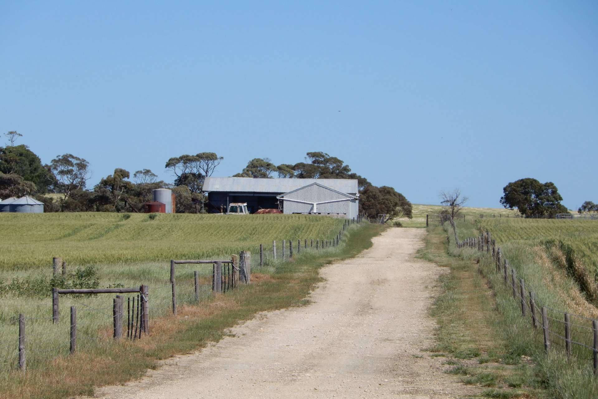 545 Railz Road, Coonalpyn For Sale by Farmbuy.com - image 4
