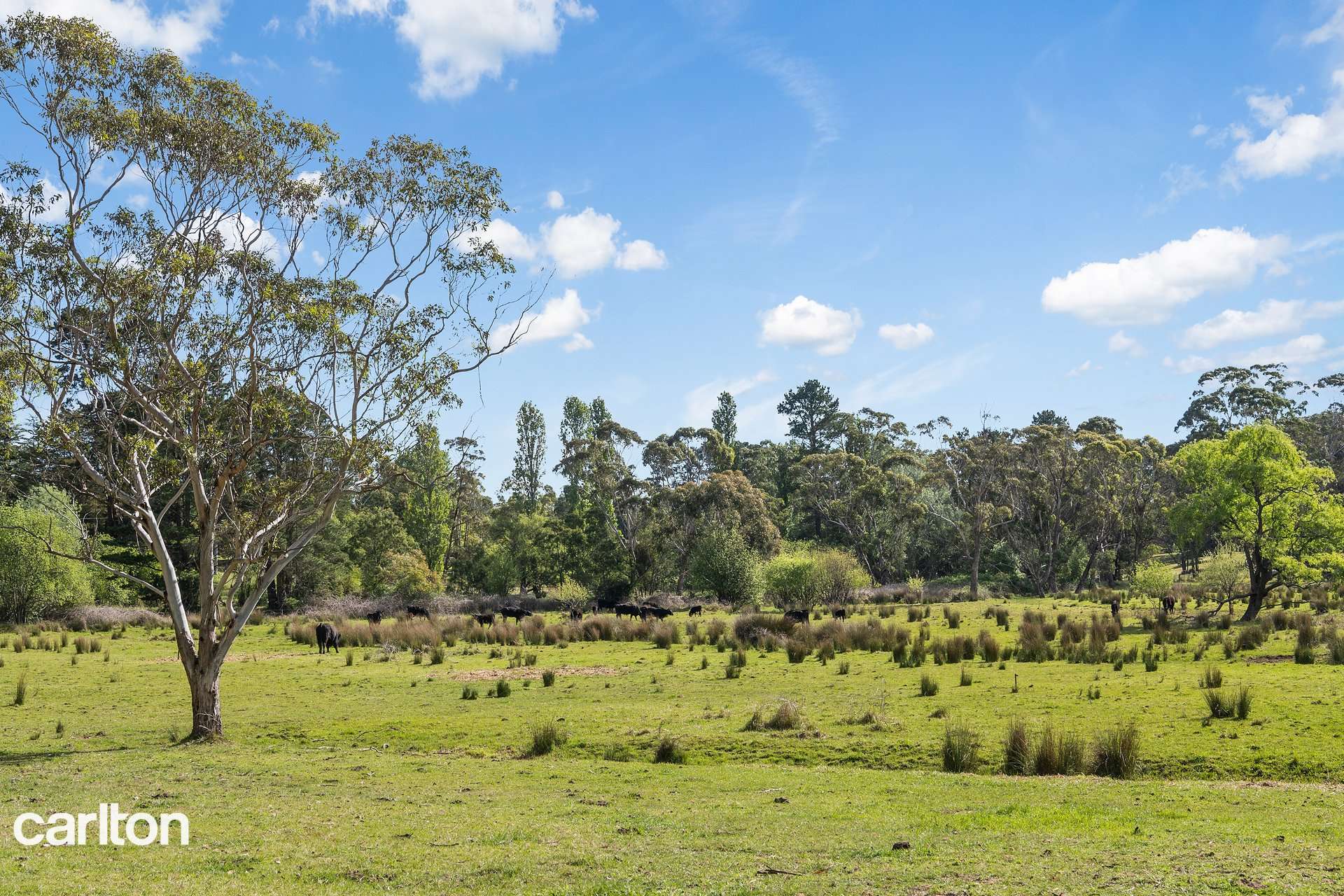 2492 Old Hume Highway Highway, Woodlands For Sale by Farmbuy.com - image 14