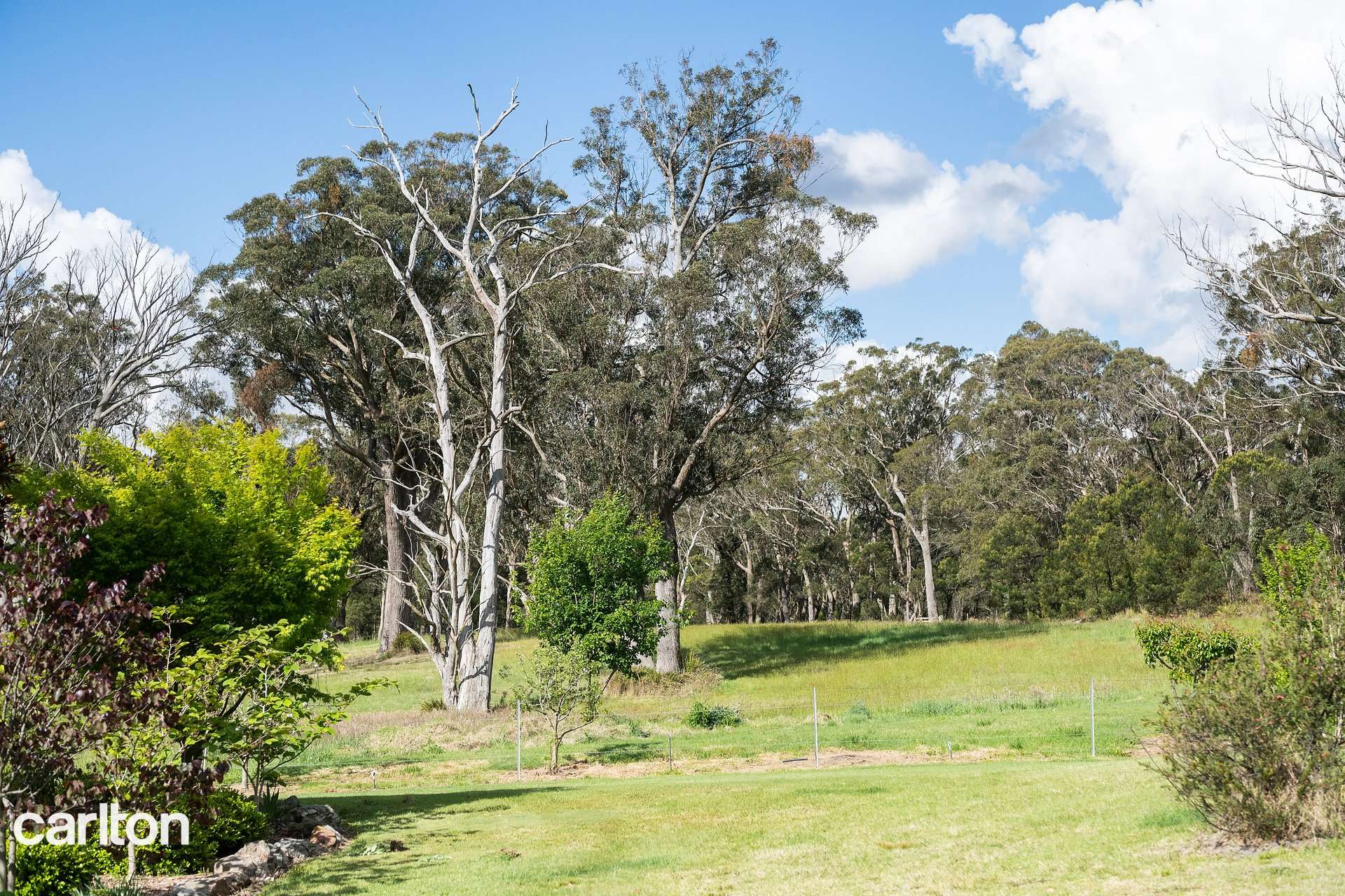 2492 Old Hume Highway, Woodlands For Sale by Farmbuy.com - image 20