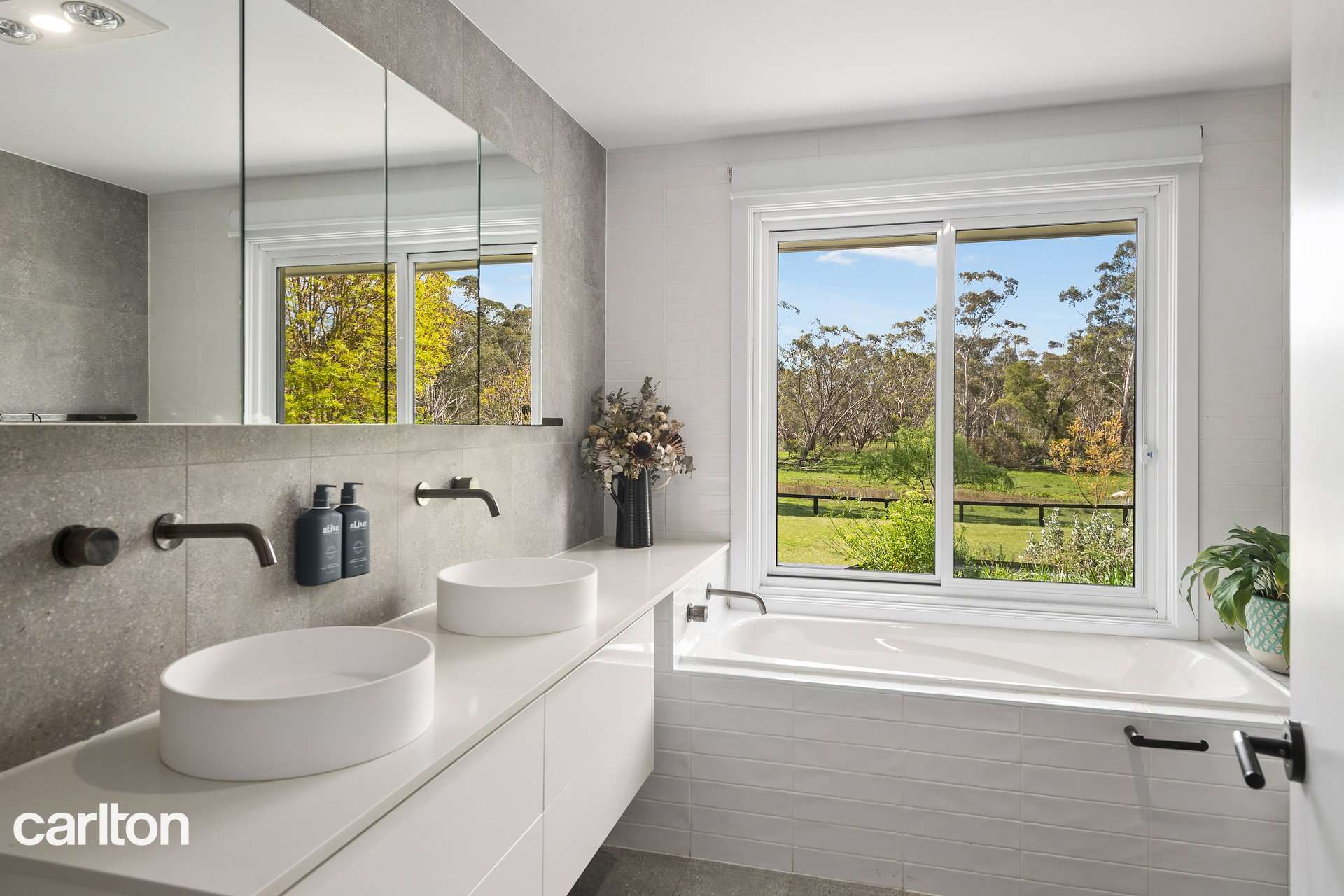 2492 Old Hume Highway Highway, Woodlands For Sale by Farmbuy.com - image 9