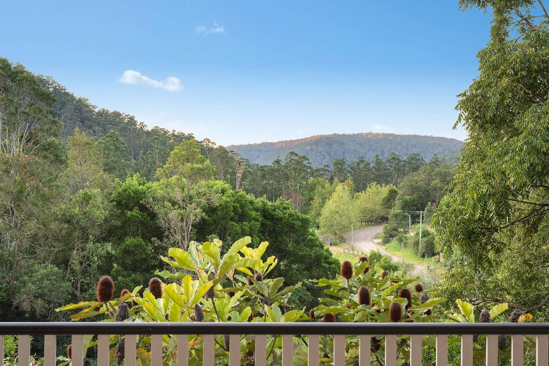 371 Ravensdale Road, Ravensdale For Sale by Farmbuy.com - image 3
