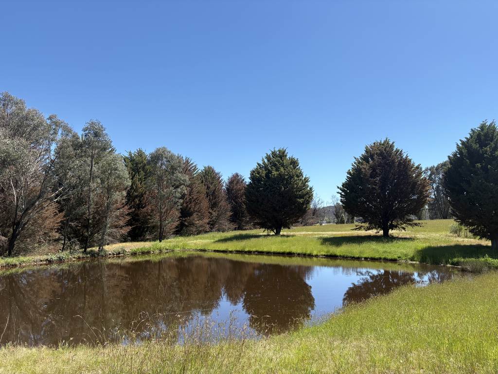 950 Yarck Rd, Yarck VIC 3719