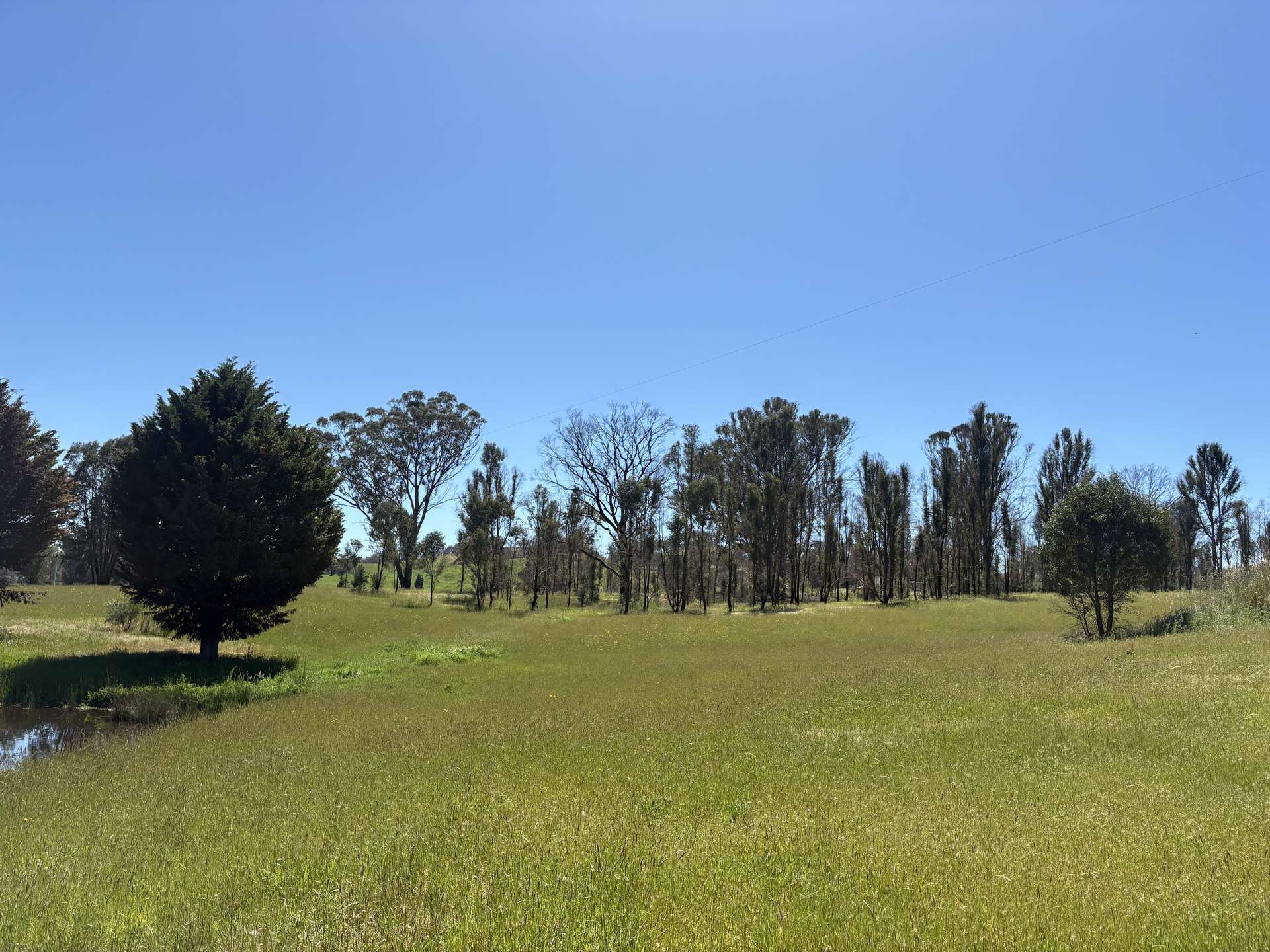950 Yarck Rd, Yarck For Sale by Farmbuy.com - image 14