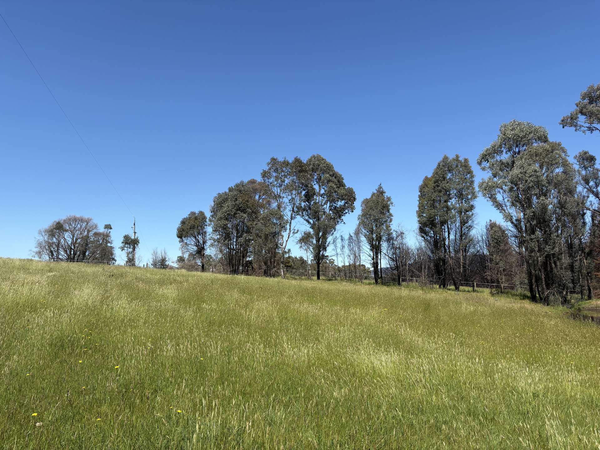 950 Yarck Rd, Yarck For Sale by Farmbuy.com - image 11