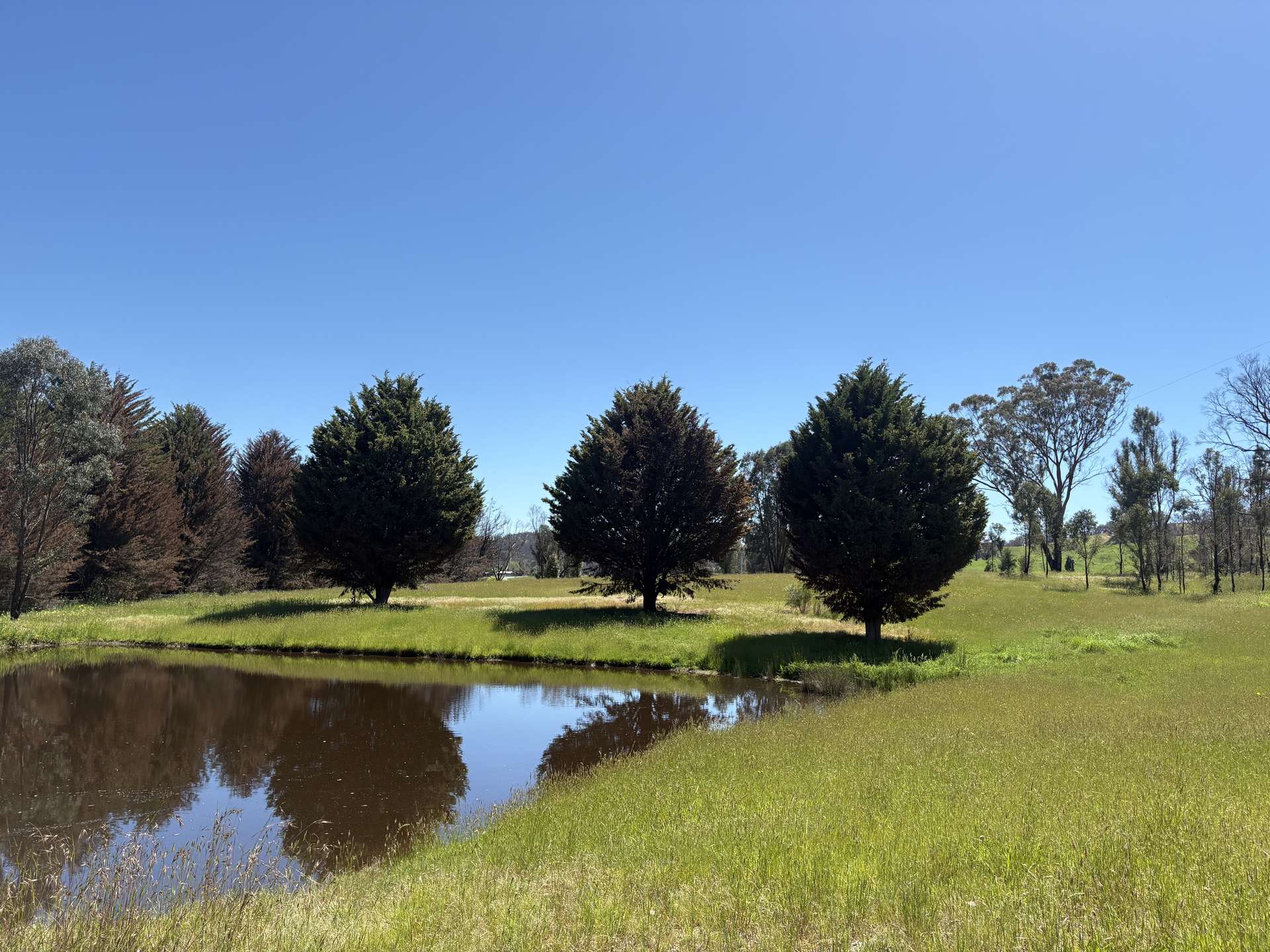 950 Yarck Rd, Yarck For Sale by Farmbuy.com - image 2