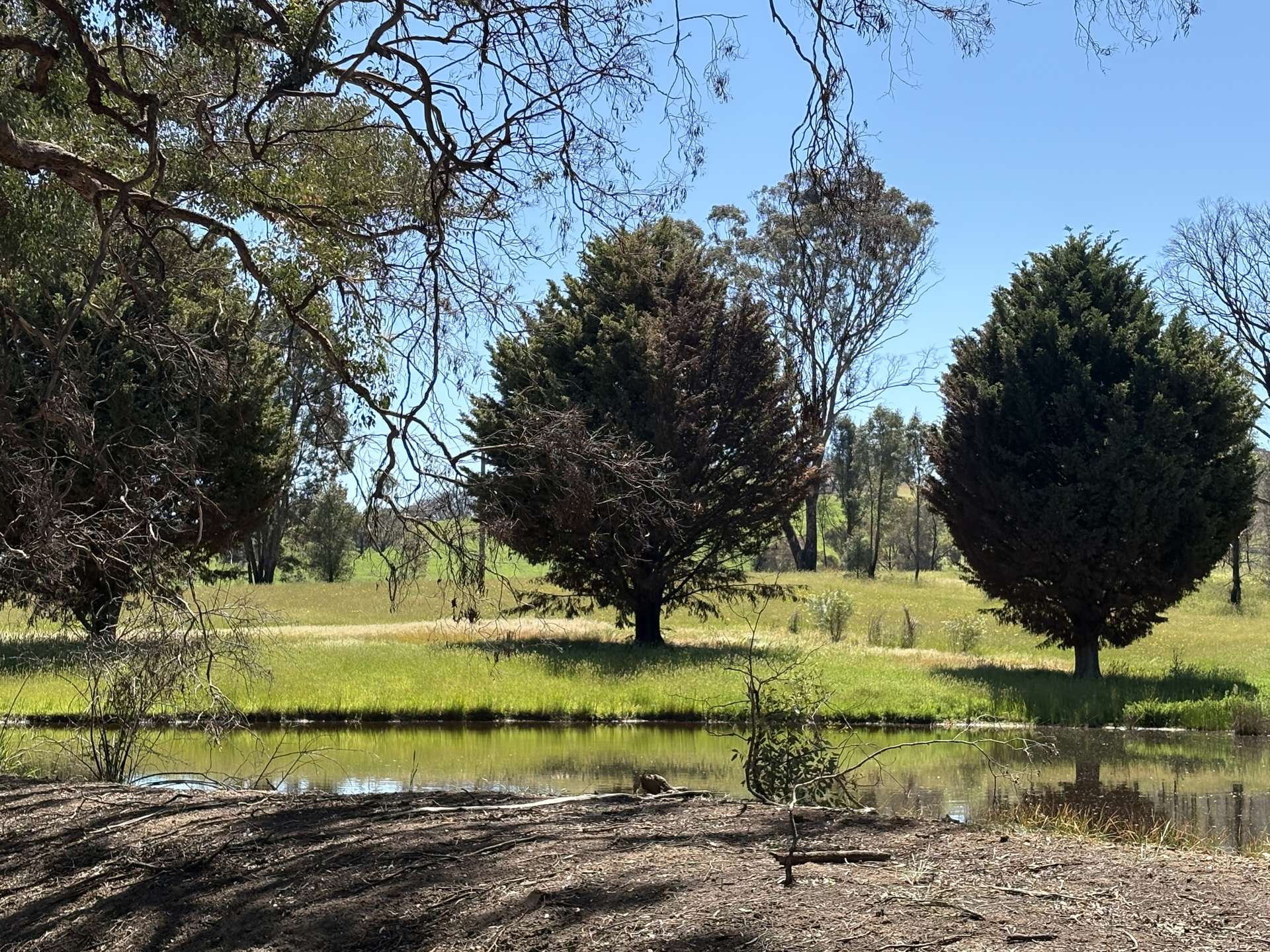 950 Yarck Rd, Yarck For Sale by Farmbuy.com - image 3