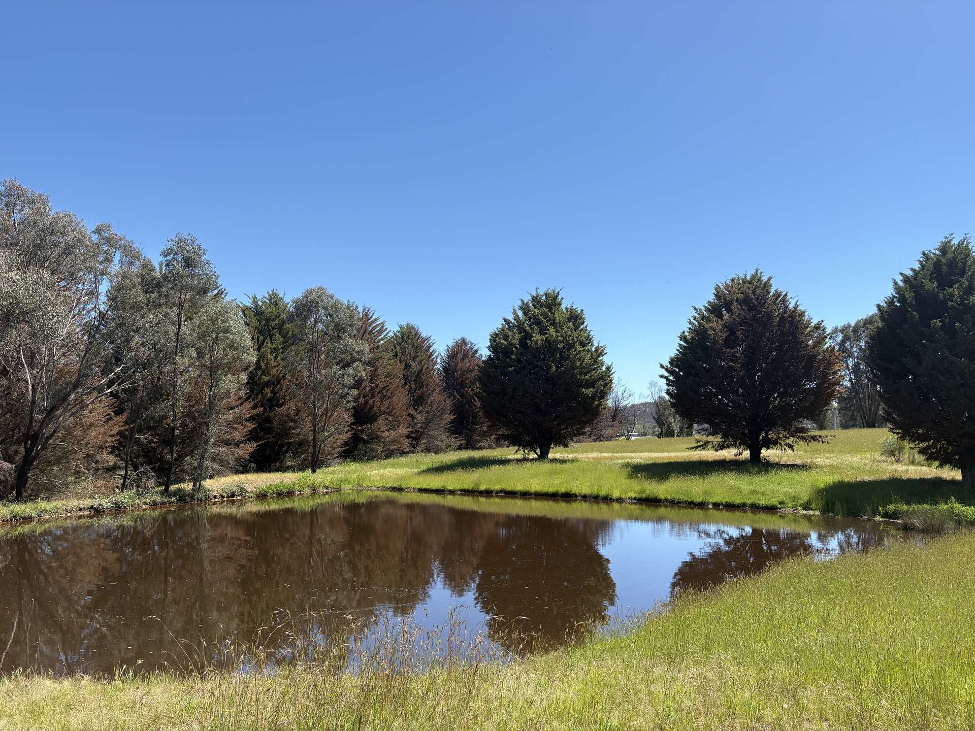 950 Yarck Rd, Yarck For Sale by Farmbuy.com - image 1