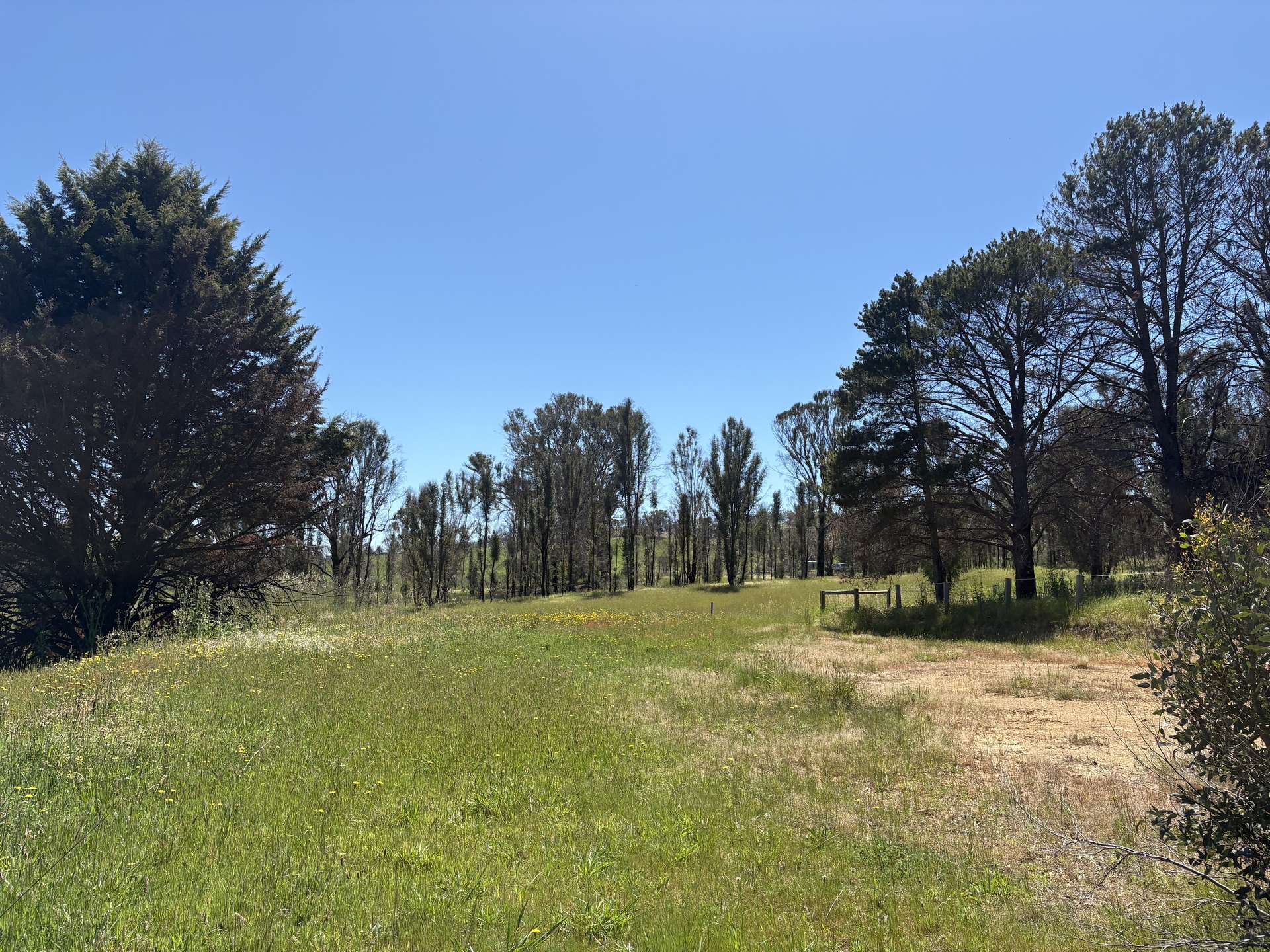 950 Yarck Rd, Yarck For Sale by Farmbuy.com - image 12