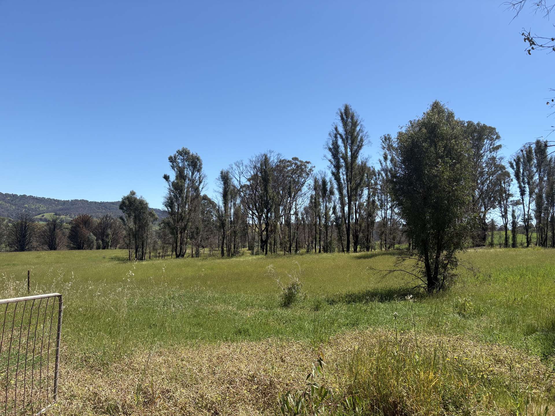 950 Yarck Rd, Yarck For Sale by Farmbuy.com - image 18