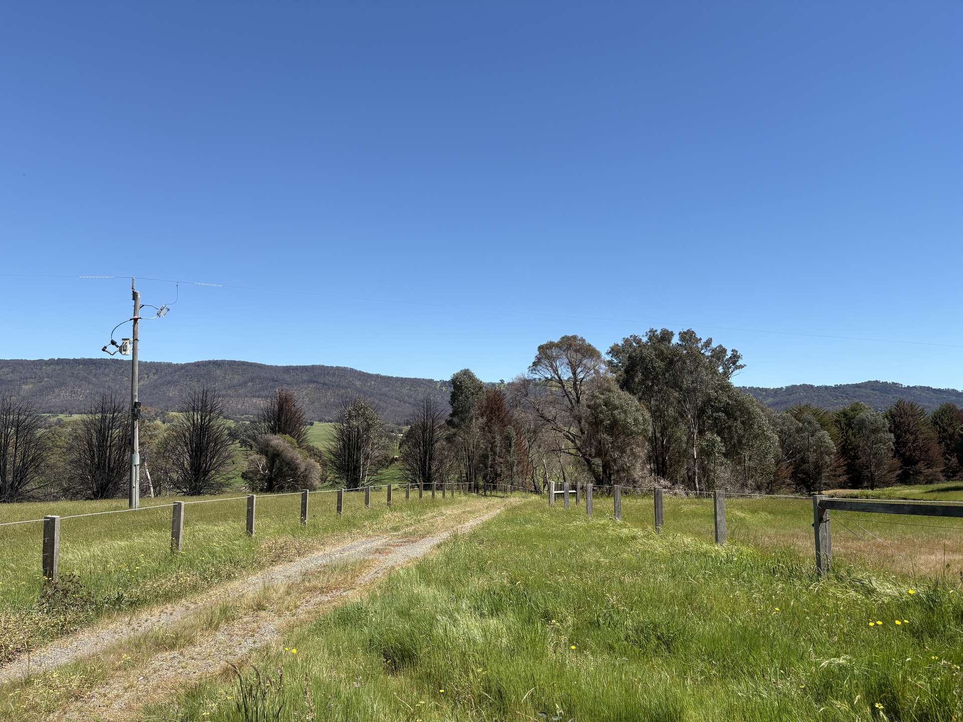 950 Yarck Rd, Yarck For Sale by Farmbuy.com - image 6