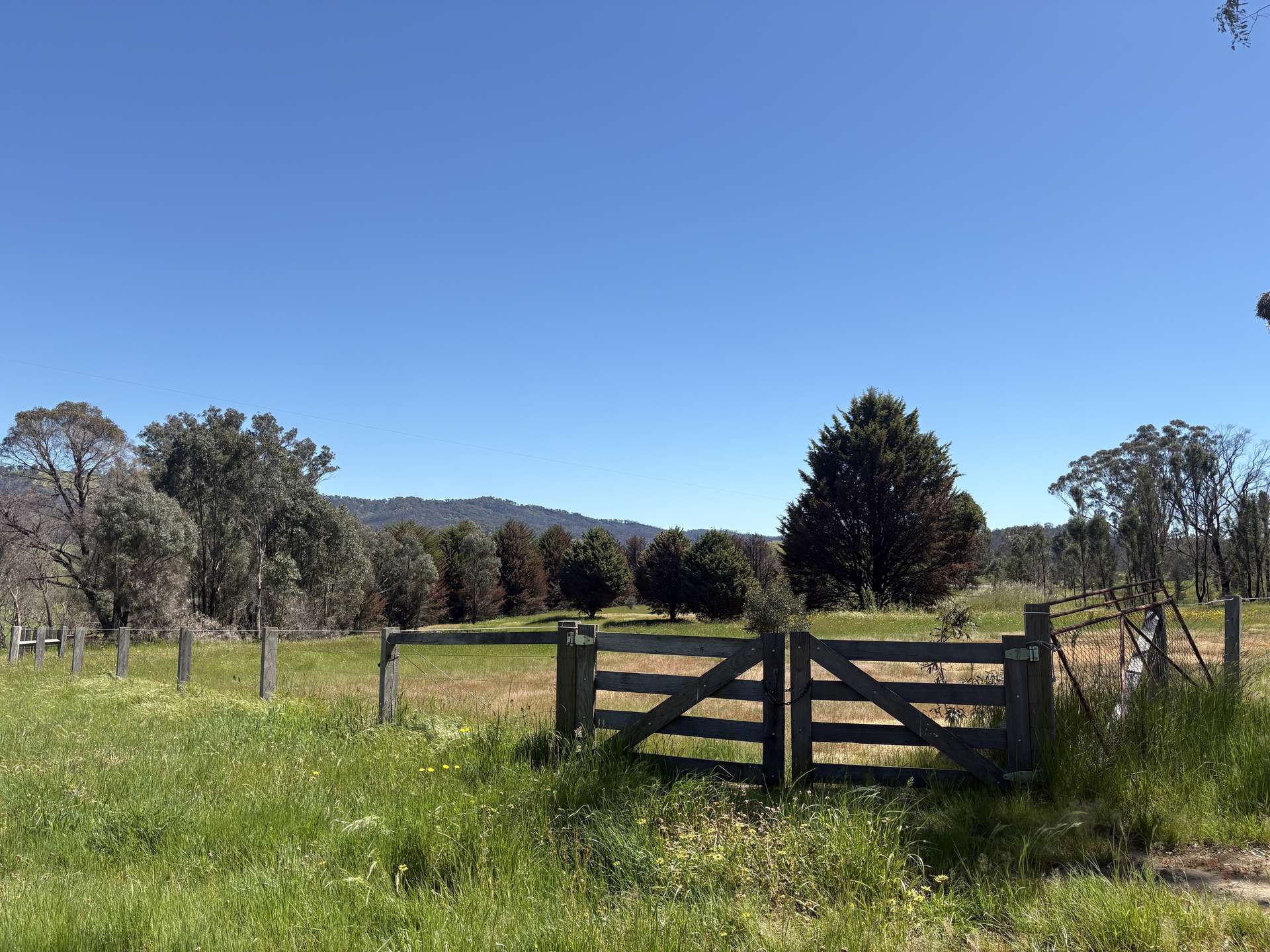 950 Yarck Rd, Yarck For Sale by Farmbuy.com - image 4