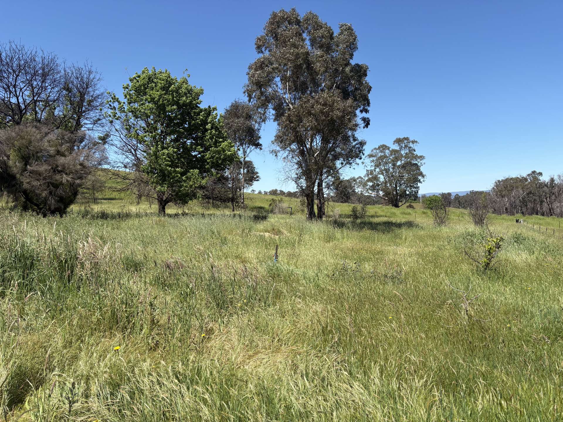 950 Yarck Rd, Yarck For Sale by Farmbuy.com - image 7