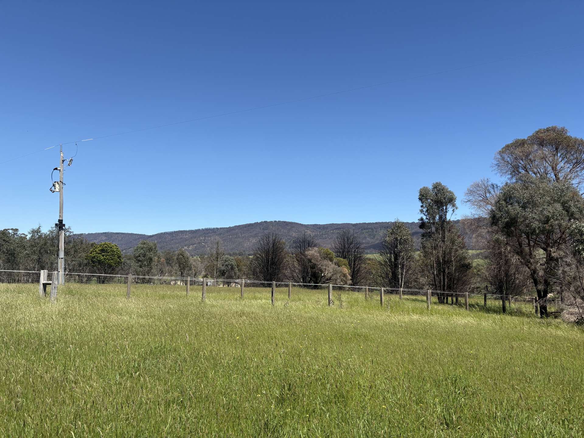 950 Yarck Rd, Yarck For Sale by Farmbuy.com - image 9