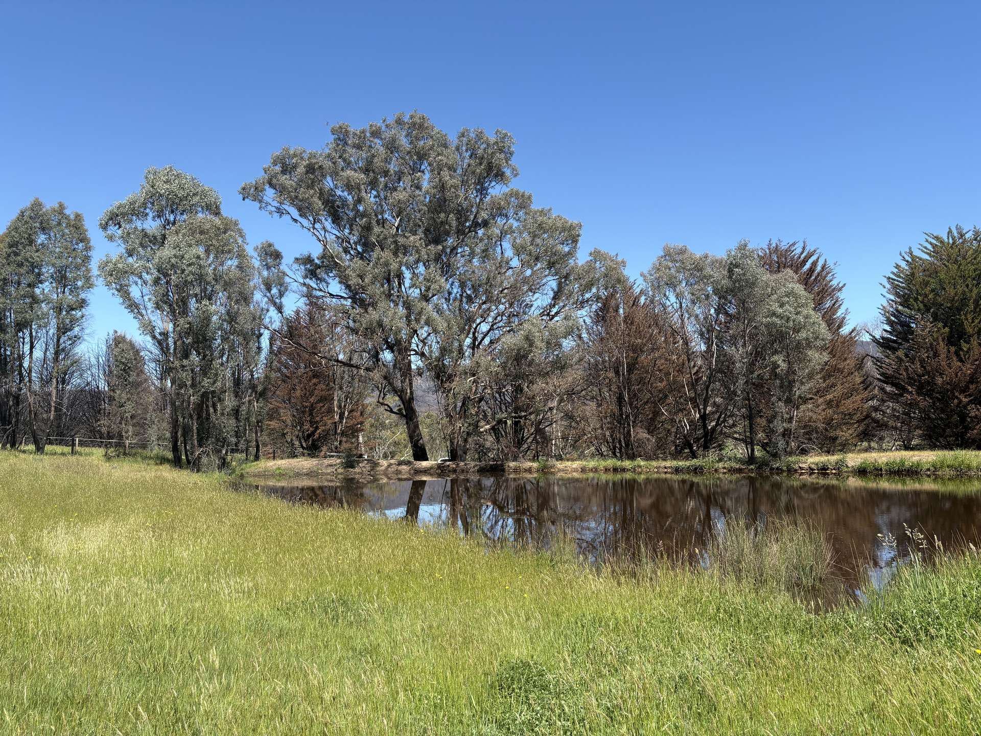 950 Yarck Rd, Yarck For Sale by Farmbuy.com - image 13