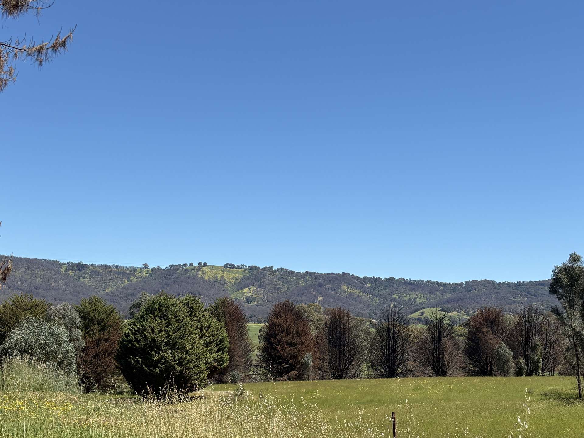 950 Yarck Rd, Yarck For Sale by Farmbuy.com - image 16