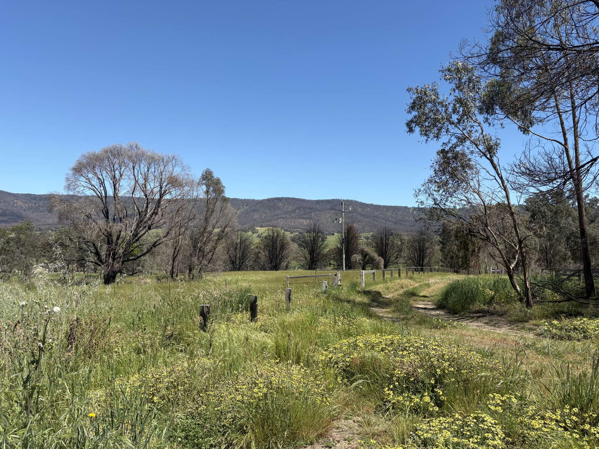 950 Yarck Rd, Yarck For Sale by Farmbuy.com - image 5