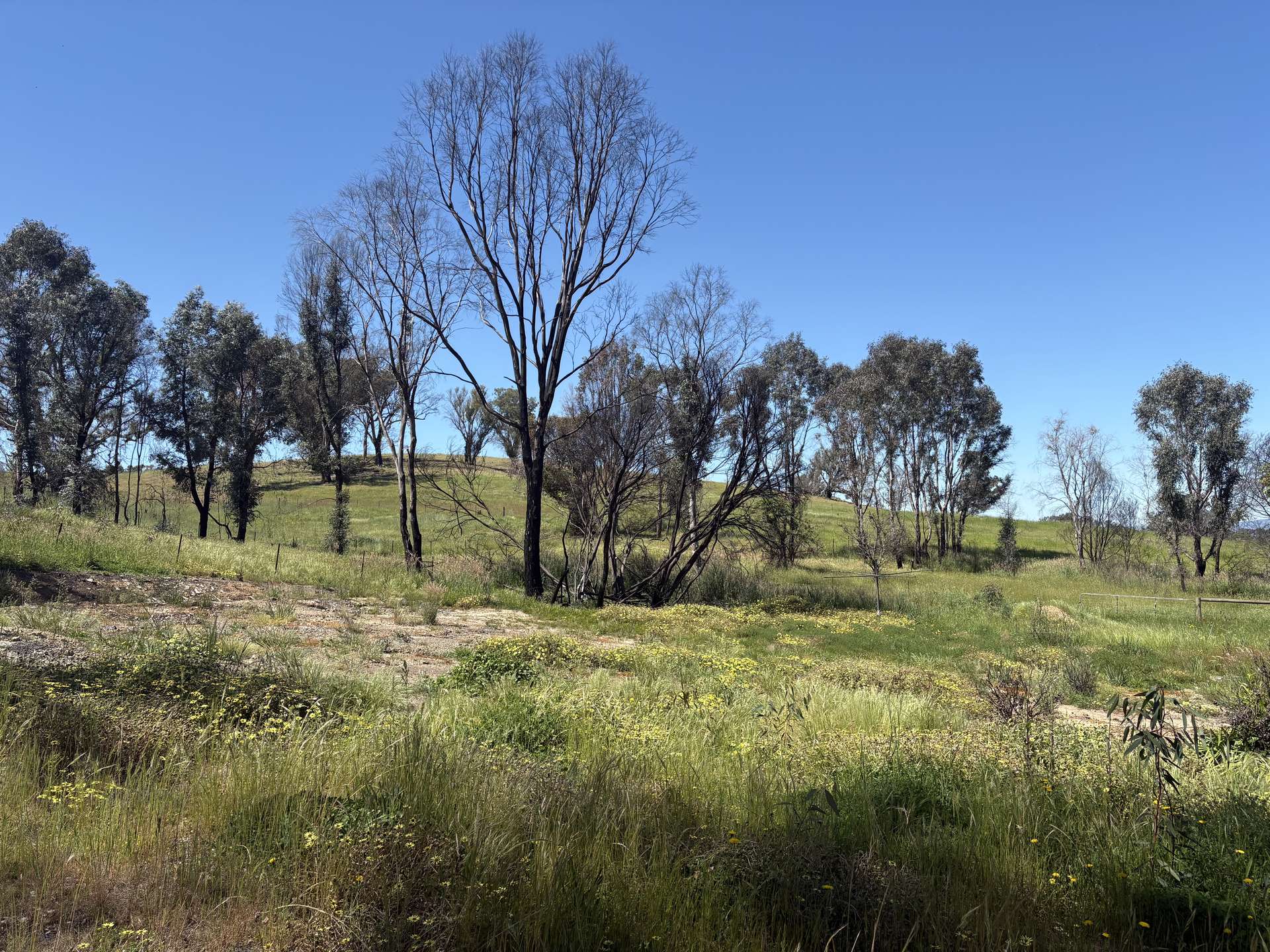 950 Yarck Rd, Yarck For Sale by Farmbuy.com - image 20