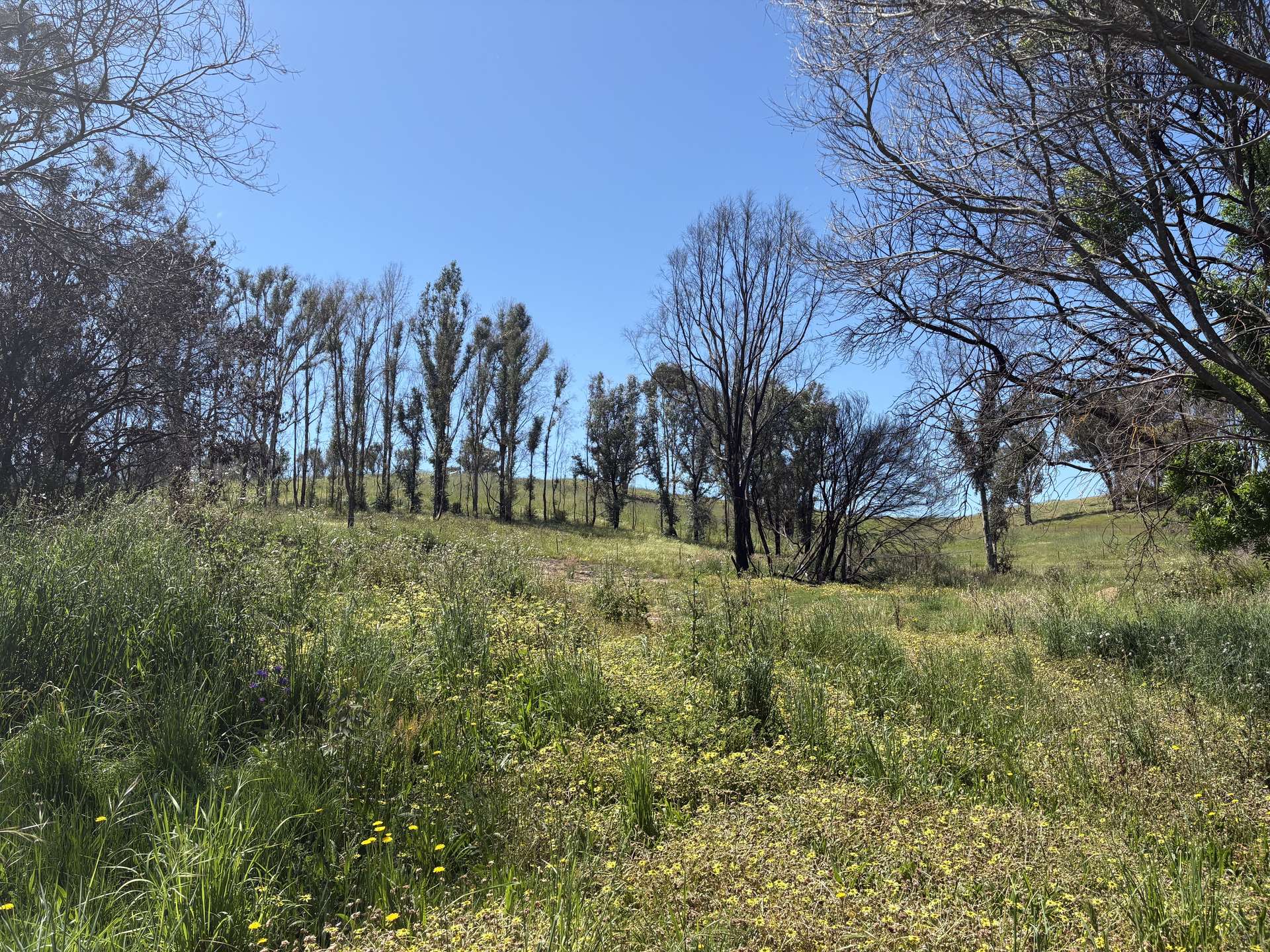 950 Yarck Rd, Yarck For Sale by Farmbuy.com - image 8