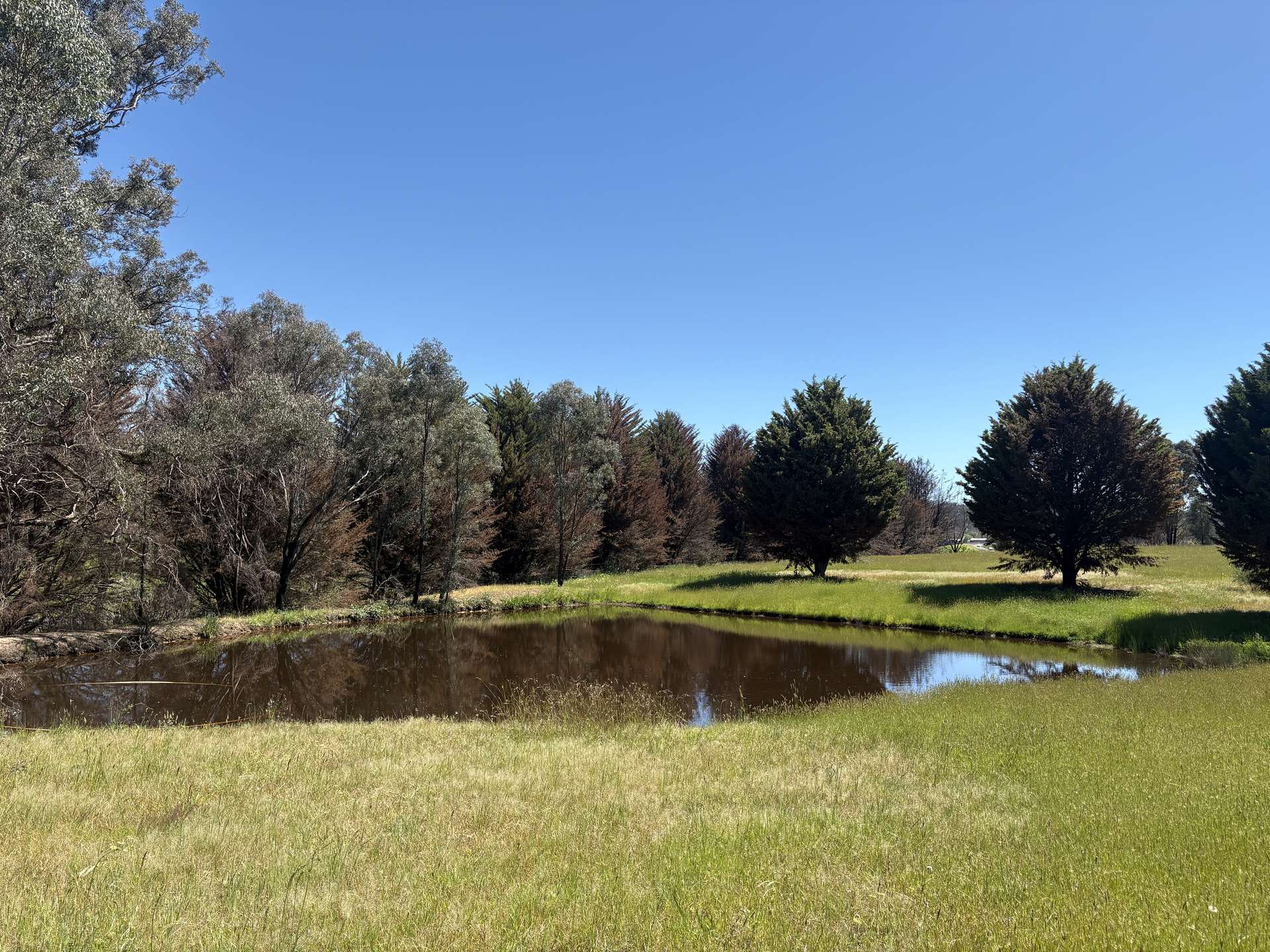 950 Yarck Rd, Yarck For Sale by Farmbuy.com - image 15