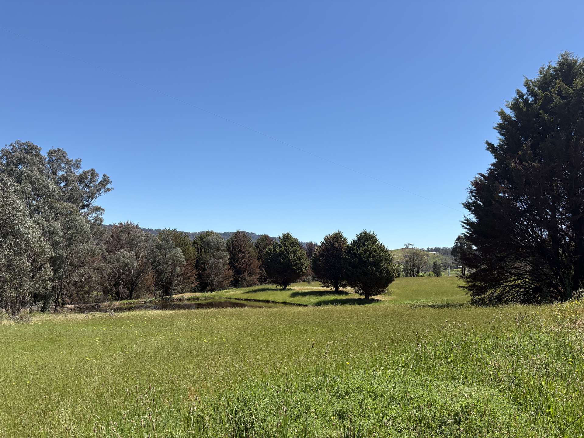 950 Yarck Rd, Yarck For Sale by Farmbuy.com - image 10