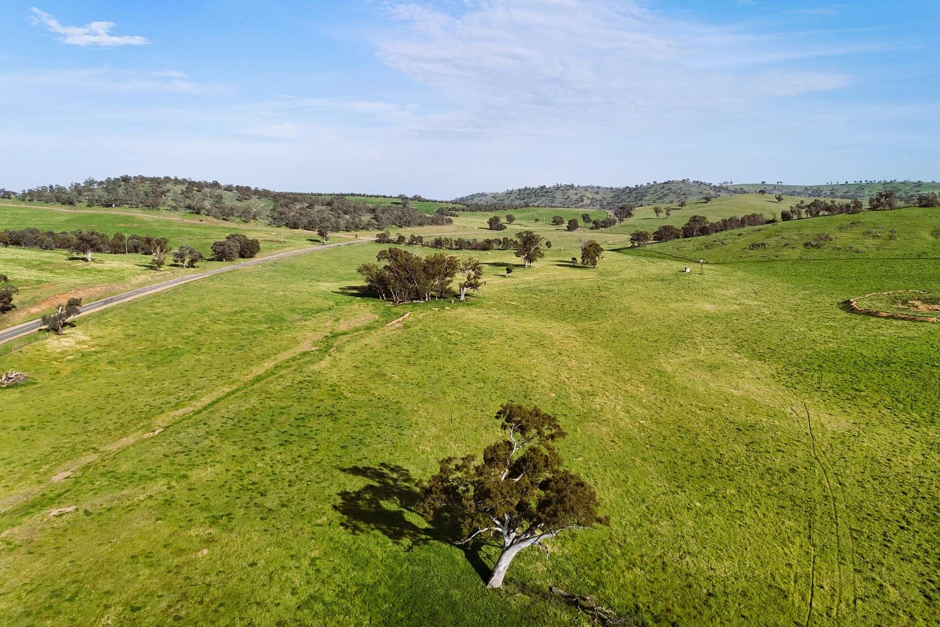 2063 Oura Road, Wagga Wagga For Sale by Farmbuy.com - image 25
