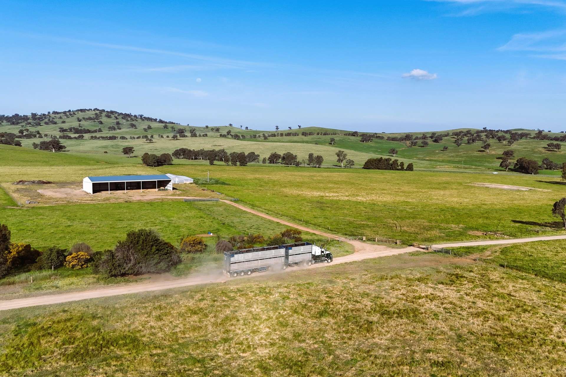 2063 Oura Road, Wagga Wagga For Sale by Farmbuy.com - image 14