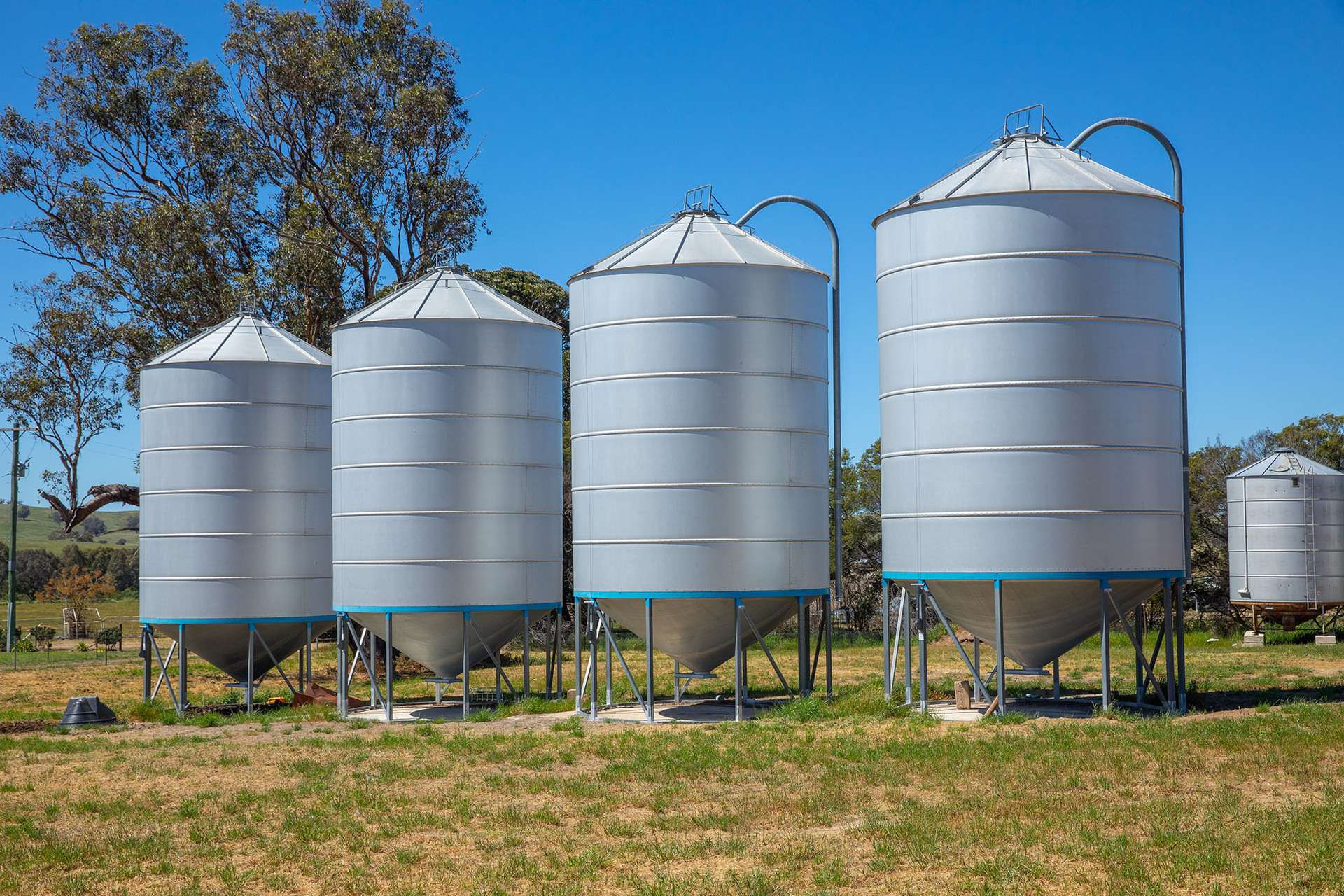 2063 Oura Road, Wagga Wagga For Sale by Farmbuy.com - image 31