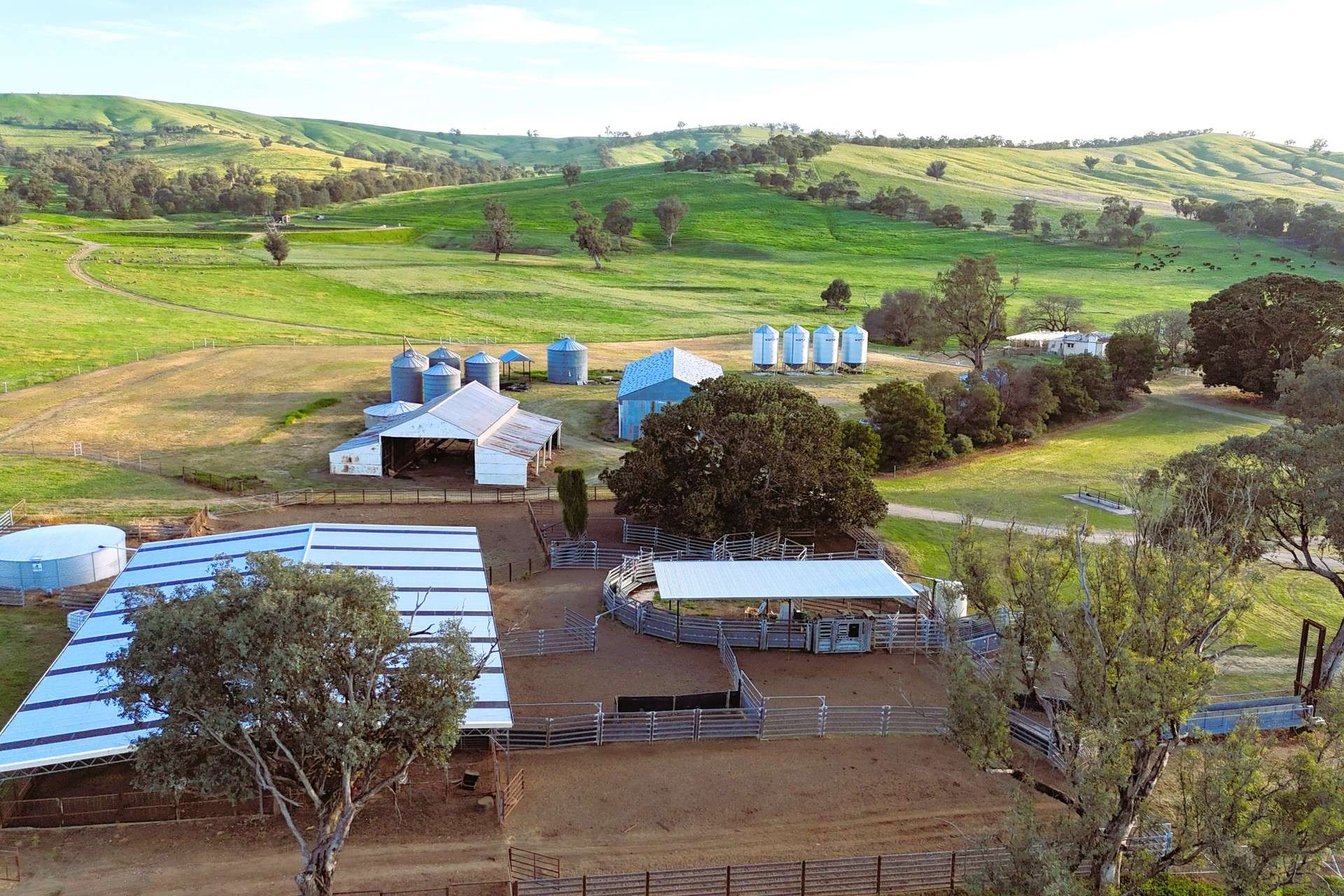 2063 Oura Road, Wagga Wagga For Sale by Farmbuy.com - image 7