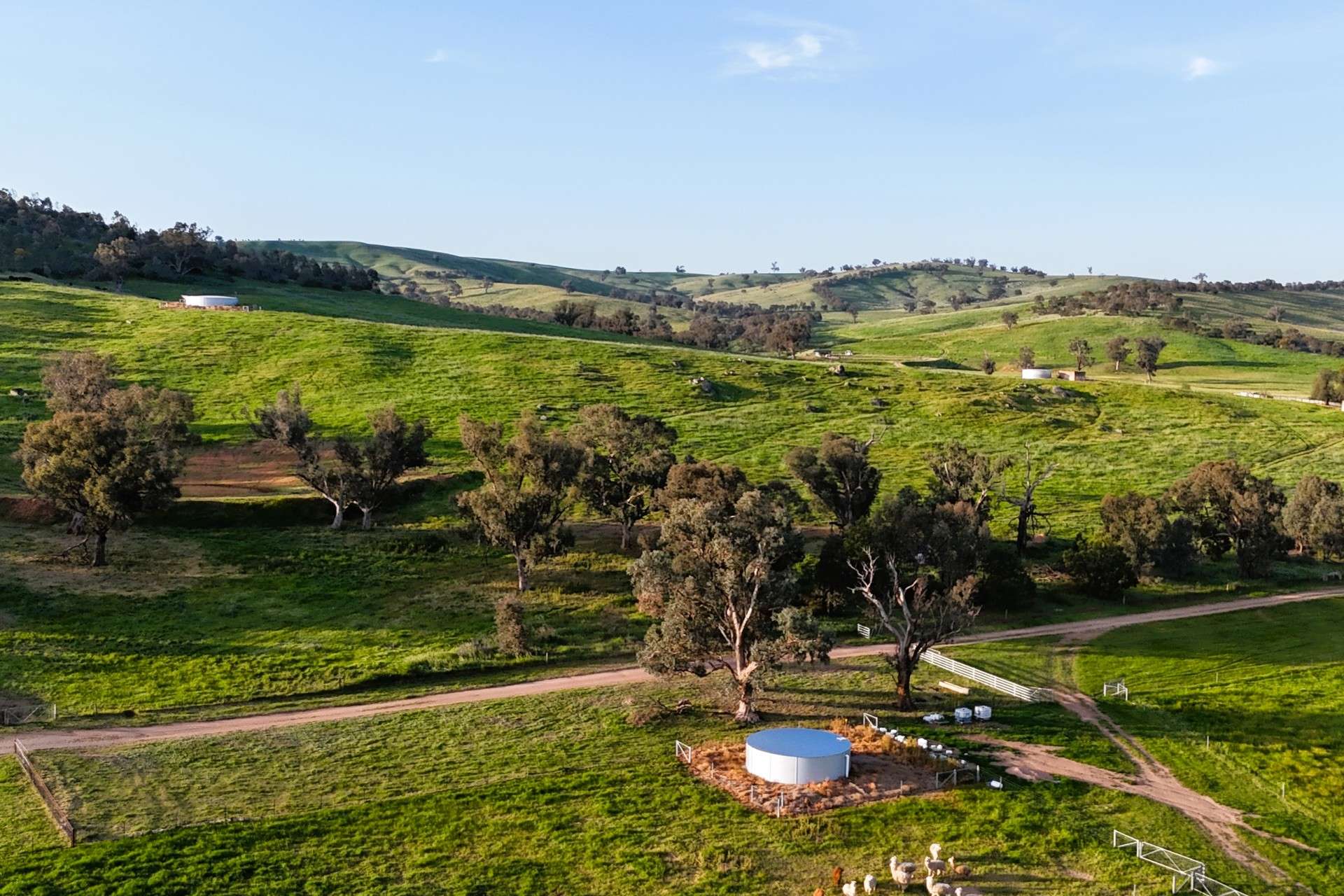 2063 Oura Road, Wagga Wagga For Sale by Farmbuy.com - image 18