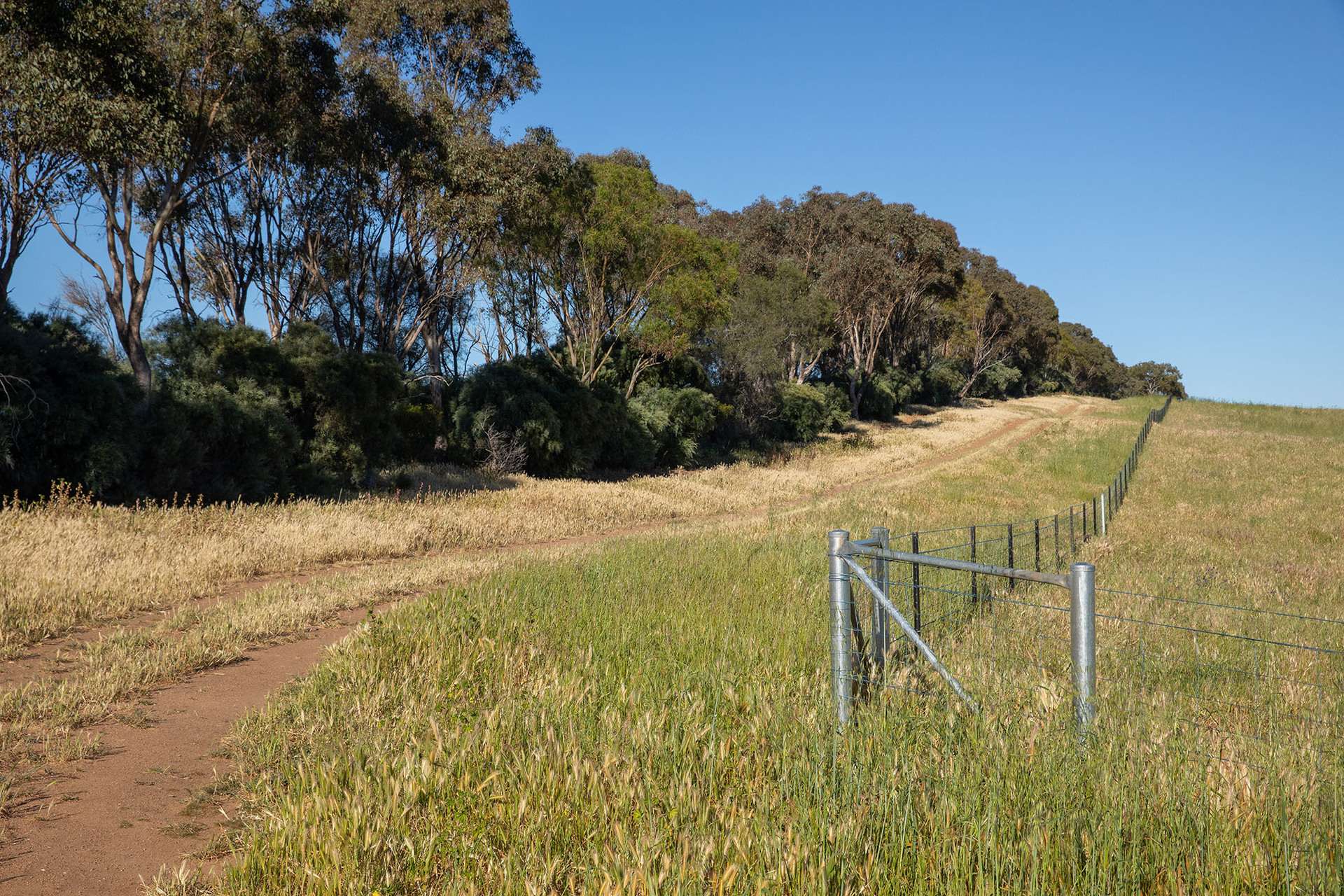 2063 Oura Road, Wagga Wagga For Sale by Farmbuy.com - image 16