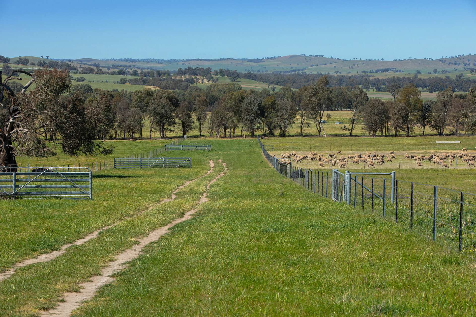 2063 Oura Road, Wagga Wagga For Sale by Farmbuy.com - image 35