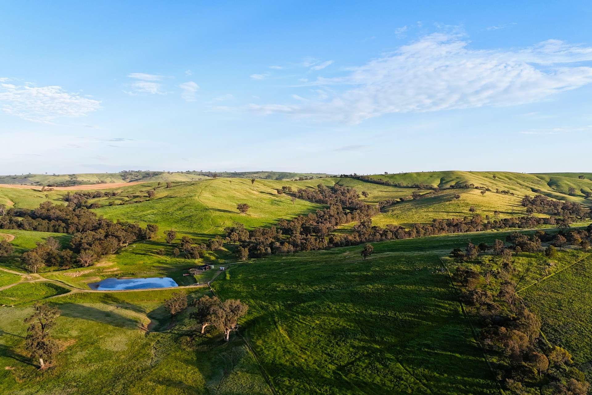 2063 Oura Road, Wagga Wagga For Sale by Farmbuy.com - image 15